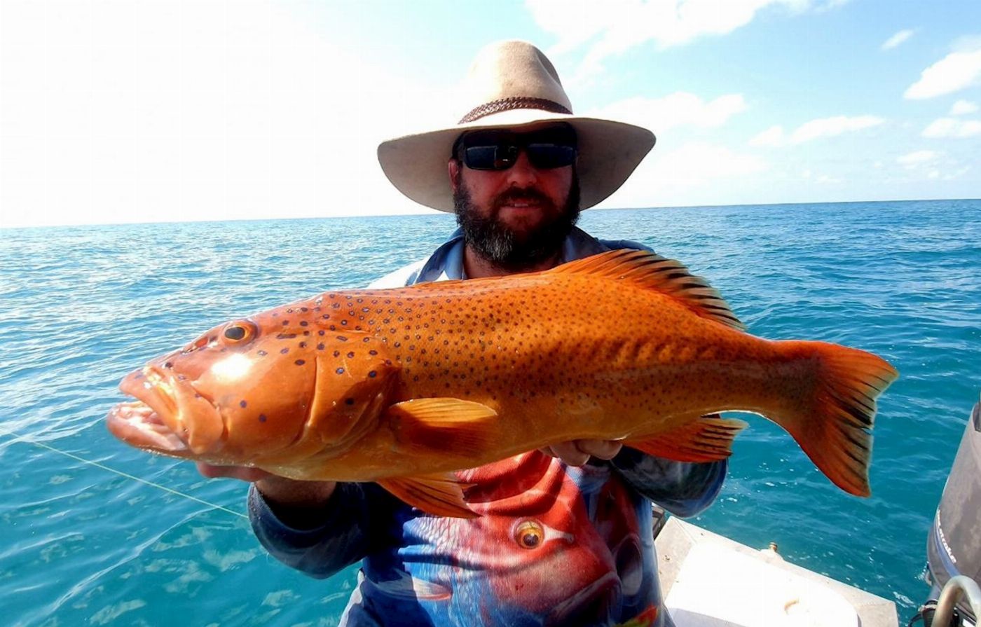Offshore Boats Private Full Day Reef & Sport Fishing Charter - Up to 6 guests