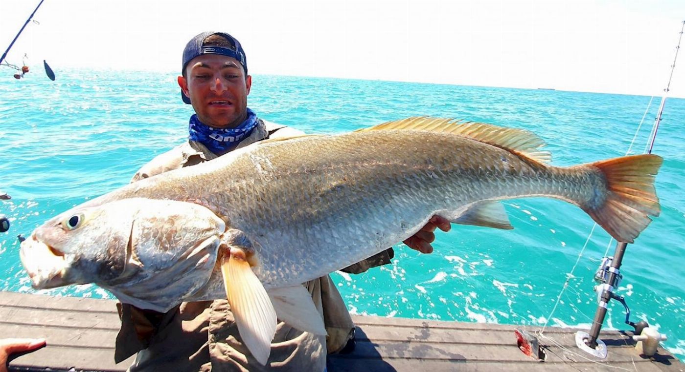 Offshore Boats Shared Full Day Reef & Sport Fishing