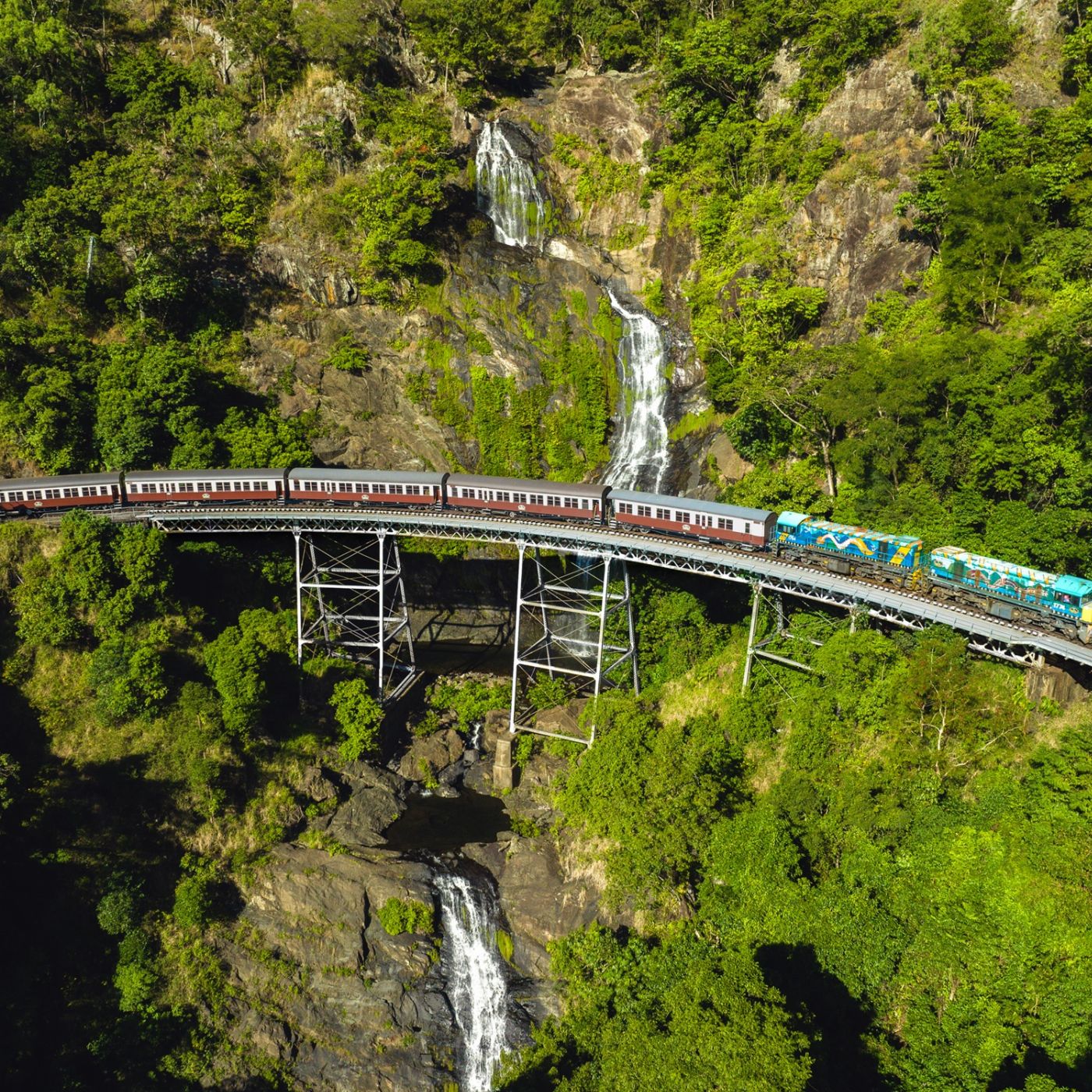 Skyrail Rainforest Cableway Family of 2Adults & 2Children (4-14 yrs) - Skyrail and Train-Self Drive