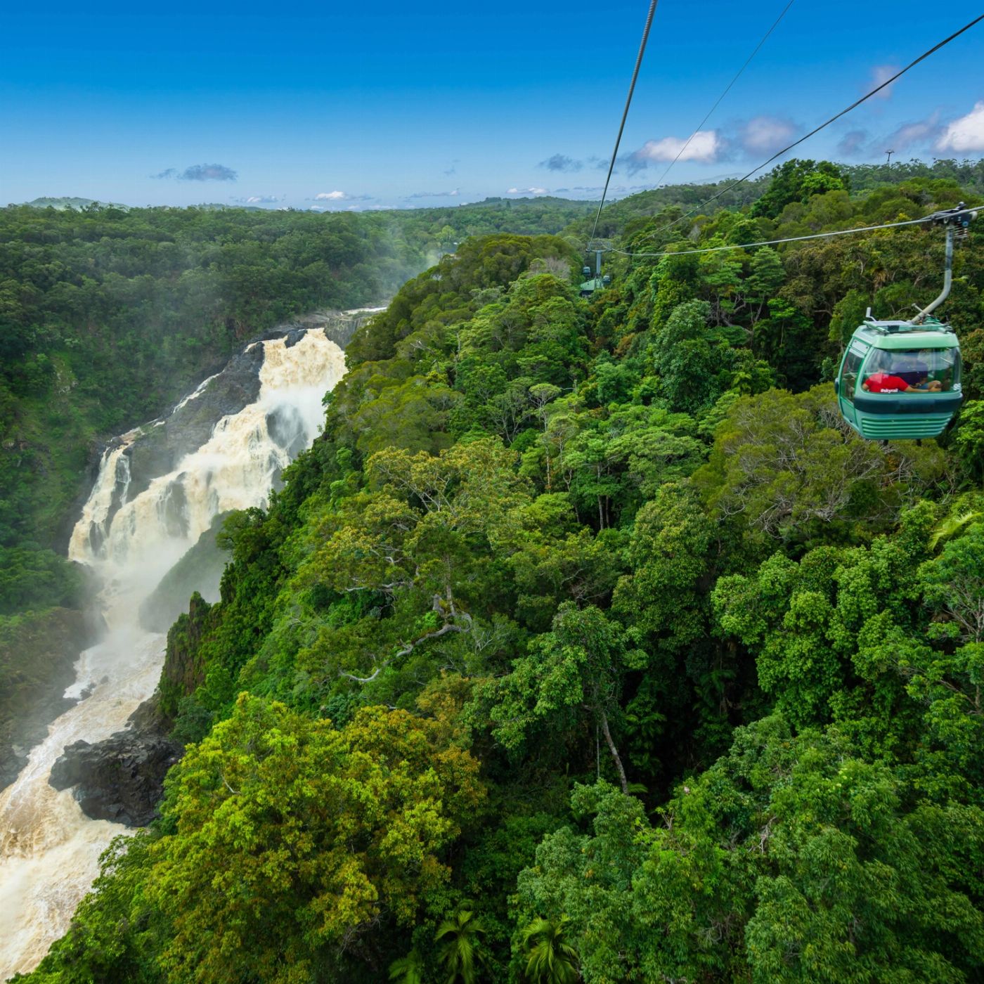 Skyrail Rainforest Cableway Family of 2Adults & 2Children (4-14 yrs) - Skyrail and Train-Self Drive