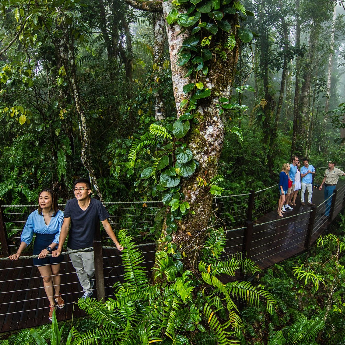 Skyrail Rainforest Cableway Family of 2Adults & 2Children (4-14yrs) - Return Skyrail Experience (no transfers)