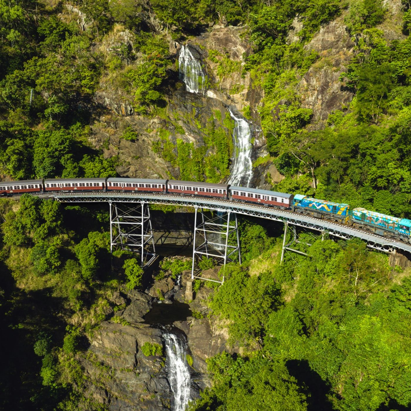 Skyrail Rainforest Cableway Family of 2Adults & 2Children (4-14yrs) - Skyrail and Train with Bus Pickup from Cairns City - CALL TO BOOK