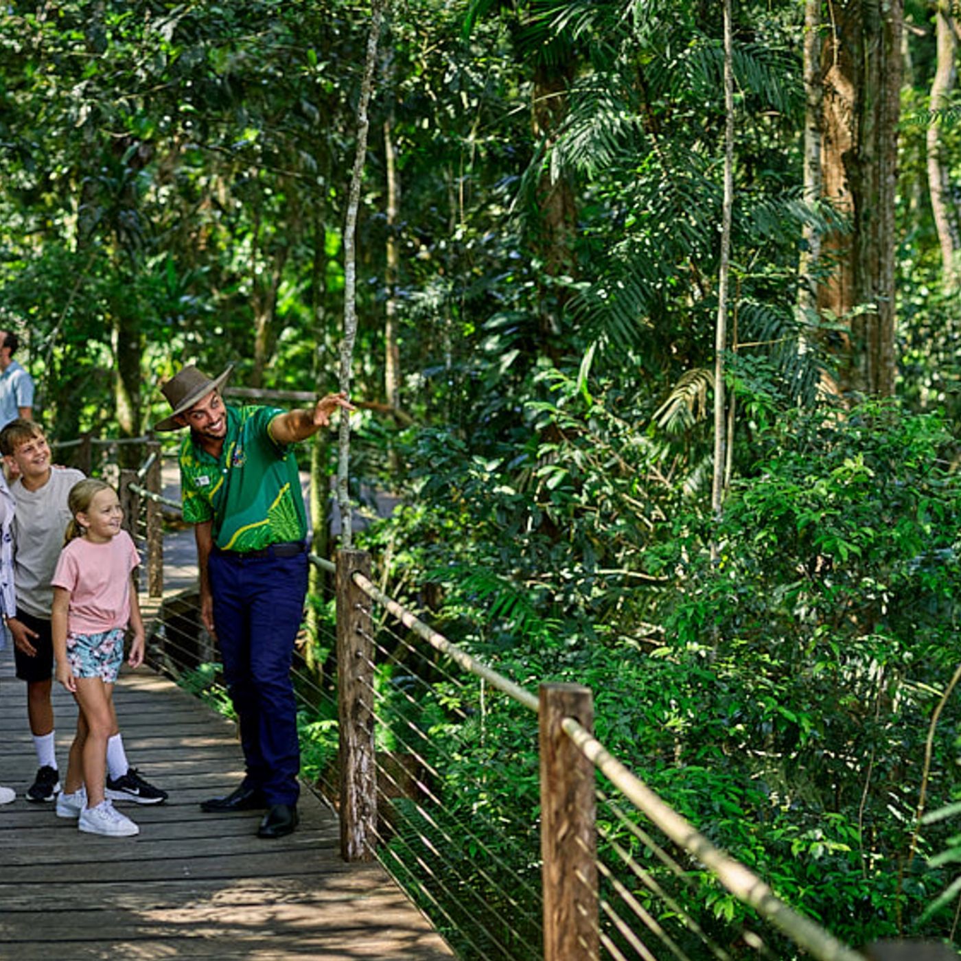 Skyrail Rainforest Cableway Family of 2Adults & 2Children (4-14yrs) - Skyrail and Train with Bus Pickup from Cairns City - CALL TO BOOK