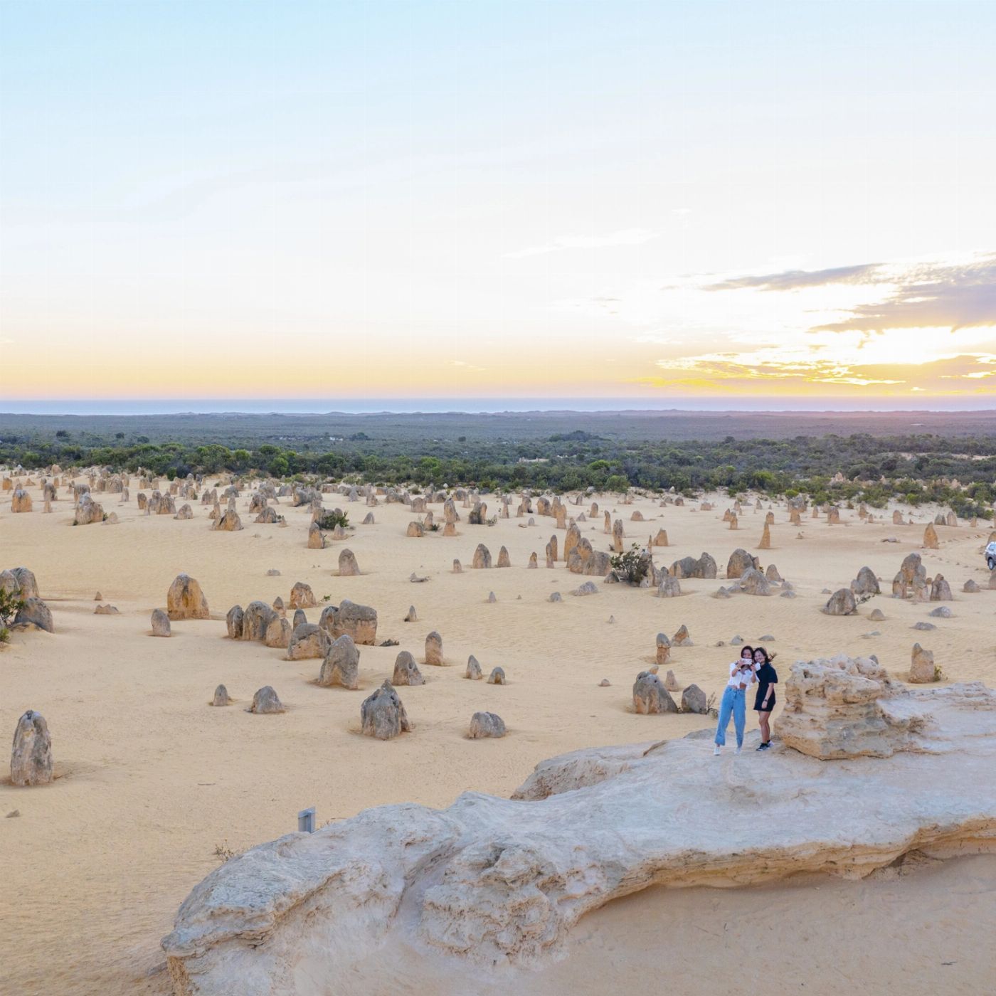 Wildlife Tours Australia Pinnacles Desert Lobster & Yanchep Tour