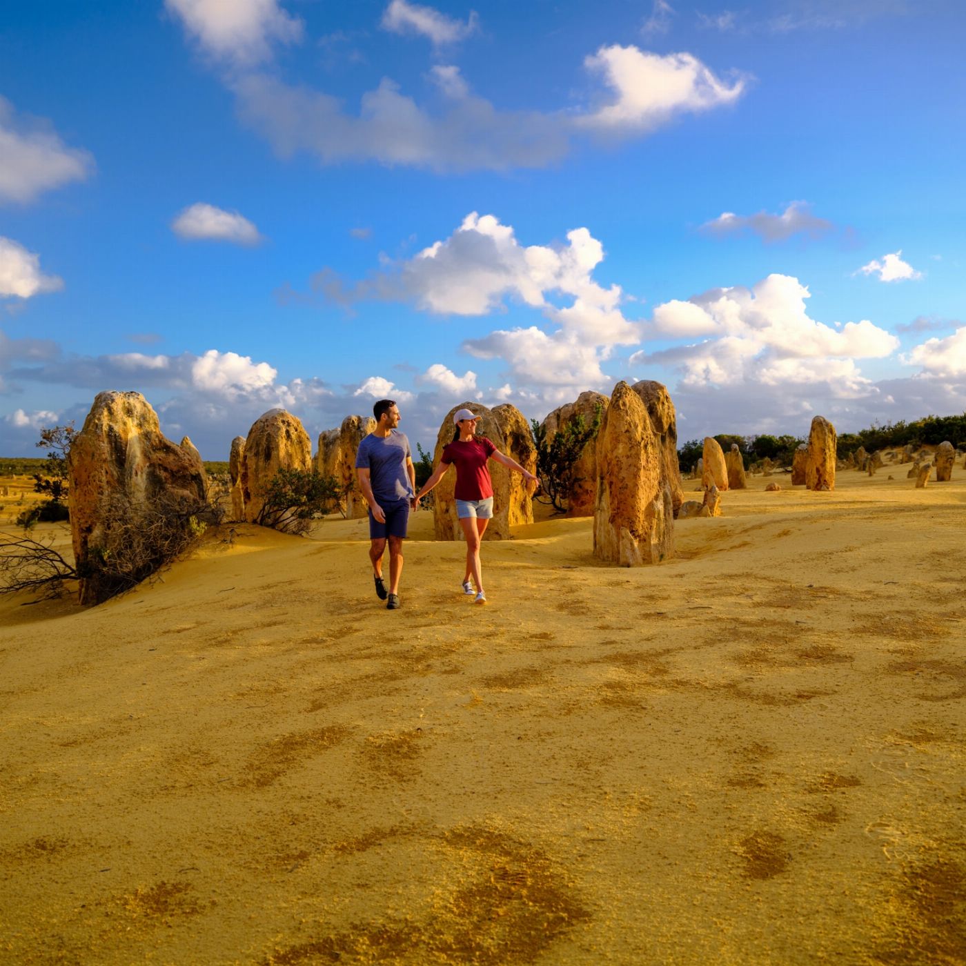 Wildlife Tours Australia Pinnacles Desert Lobster & Yanchep Tour