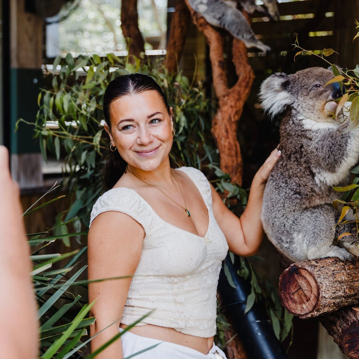Colourful Collective Travel Jervis Bay Beach & Koalas (FLEXIBLE fare)