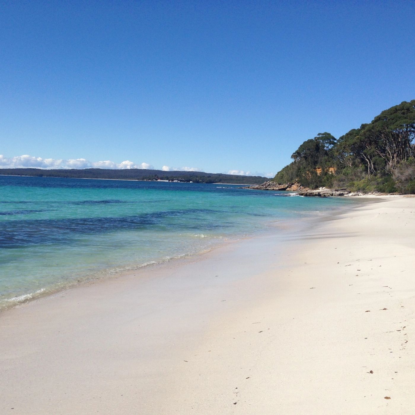 Colourful Collective Travel Jervis Bay Beach & Koalas (SAVER fare - non-refundable)
