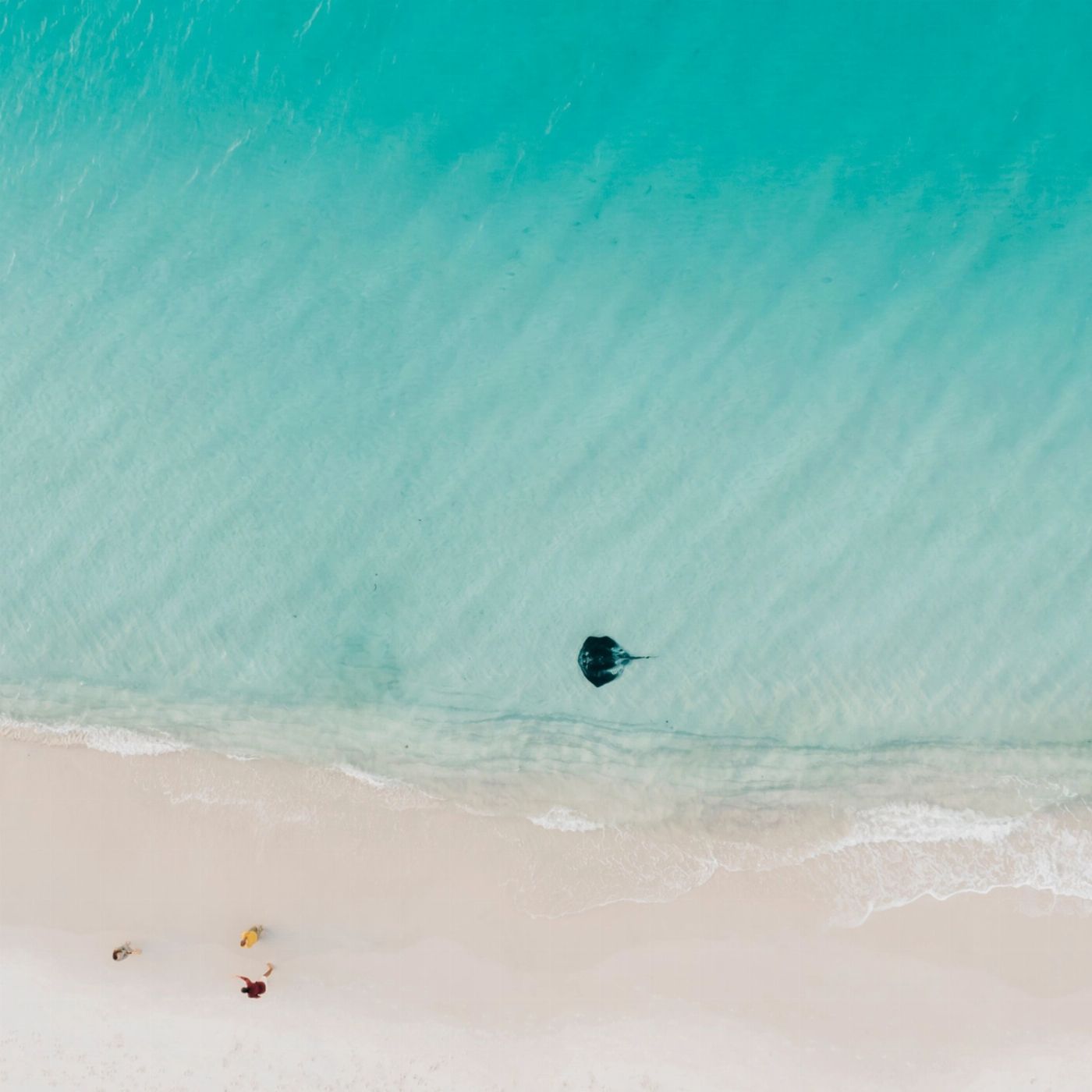 Colourful Collective Travel Jervis Bay Beach & Koalas (SAVER fare - non-refundable)