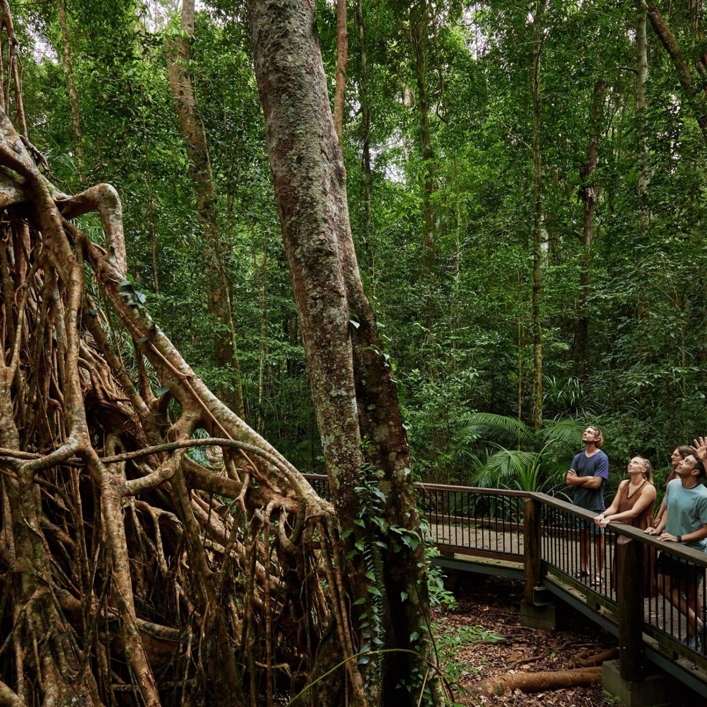 Cairns Waterfalls Atherton Tablelands - Day Tour