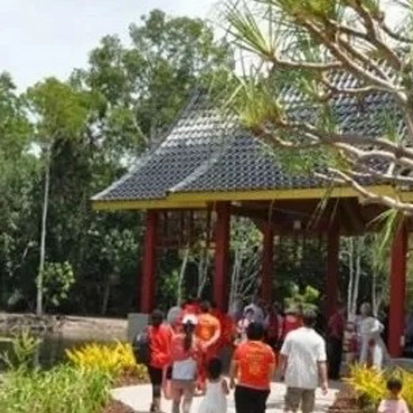 Cairns Waterfalls Cairns Explorer Tour
