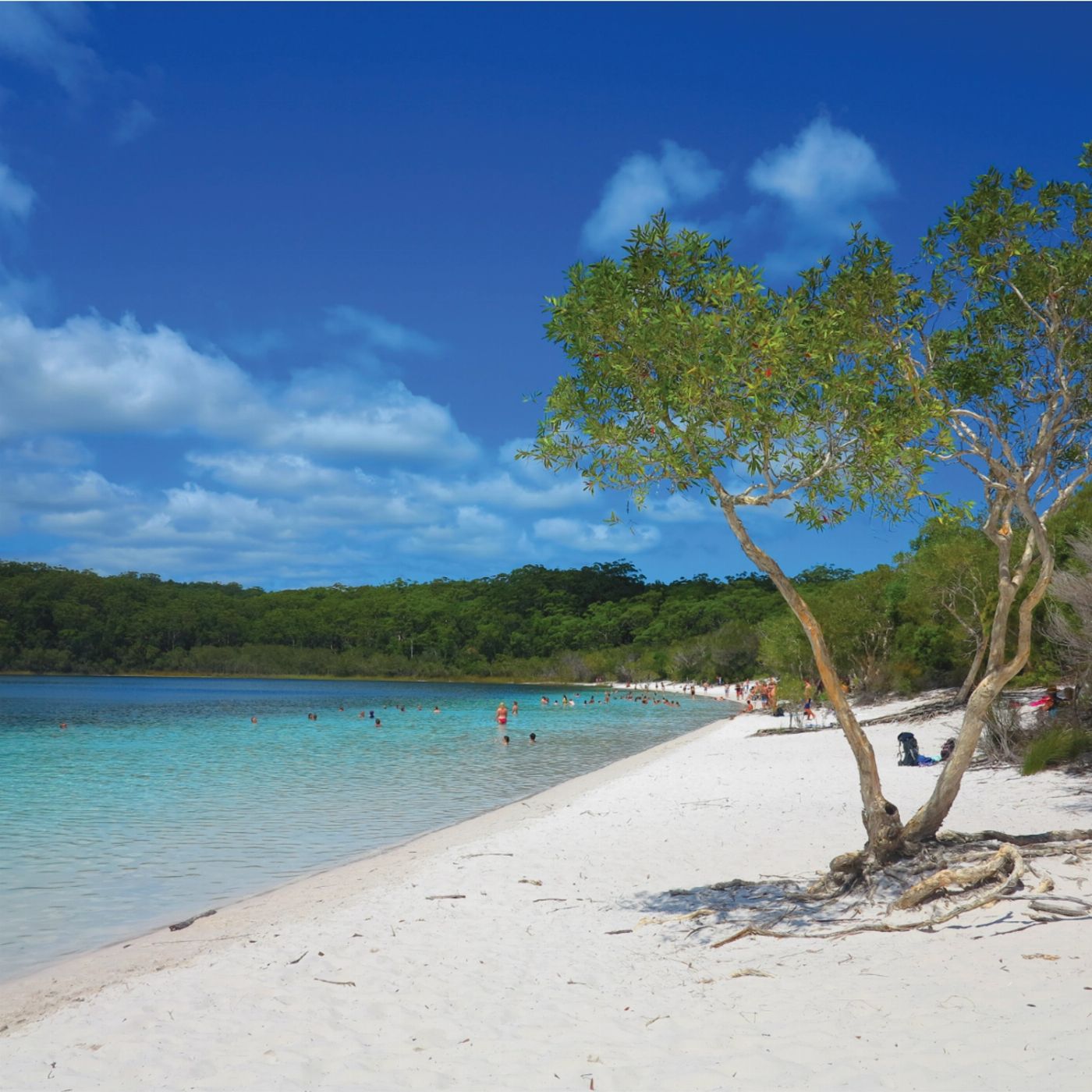 Fraser Island Adventure Tours K'gari/Fraser Island Adventure Tour - Noosa Pickup