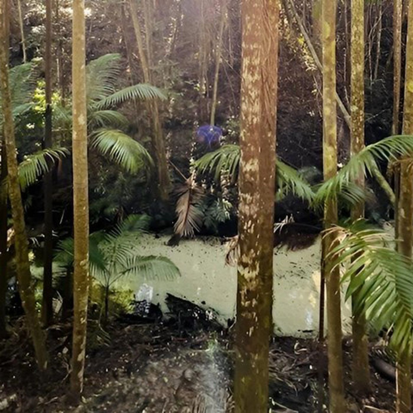 Fraser Island Adventure Tours K'gari/Fraser Island Adventure Tour - Rainbow Beach Pickup