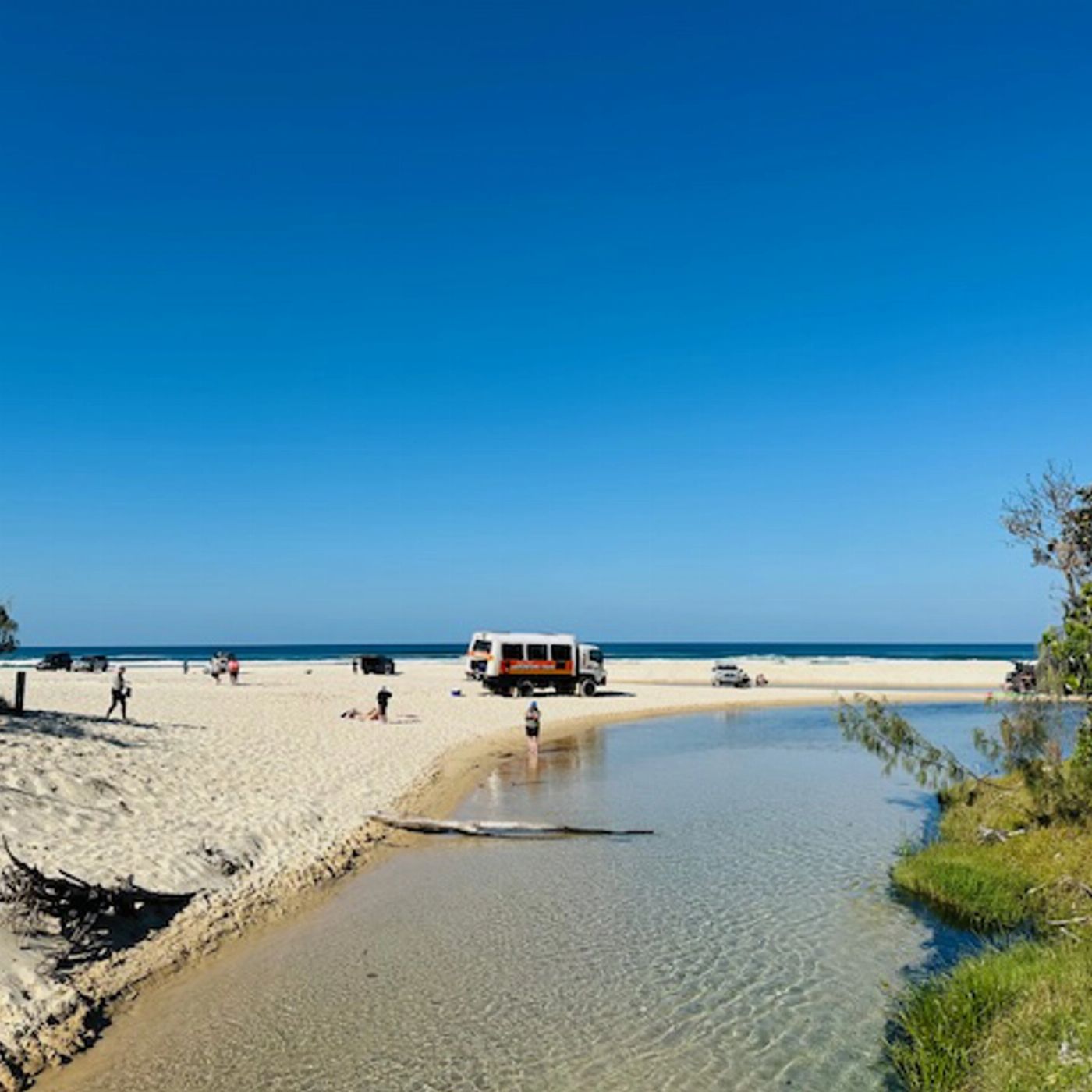 Fraser Island Adventure Tours K'gari/Fraser Island Premium Nature Tour - Noosa Pickup