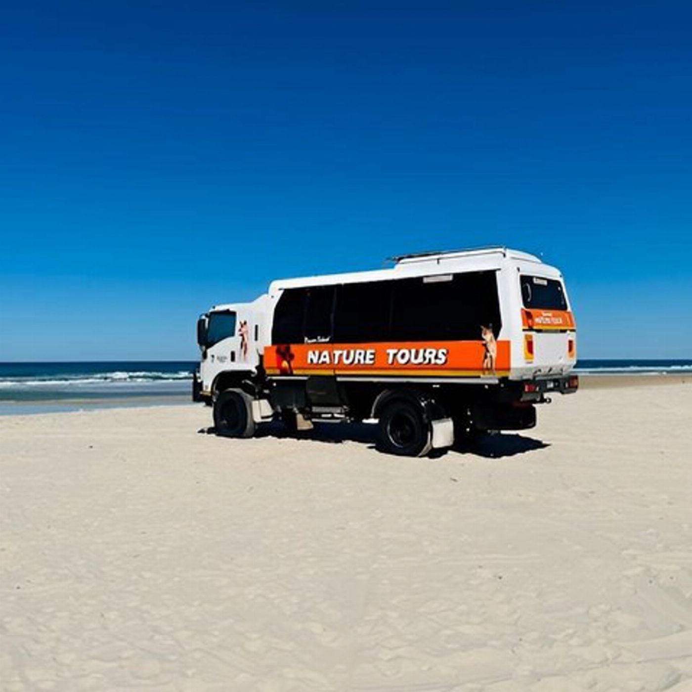 Fraser Island Adventure Tours K'gari/Fraser Island Premium Nature Tour - Rainbow Beach Pickup