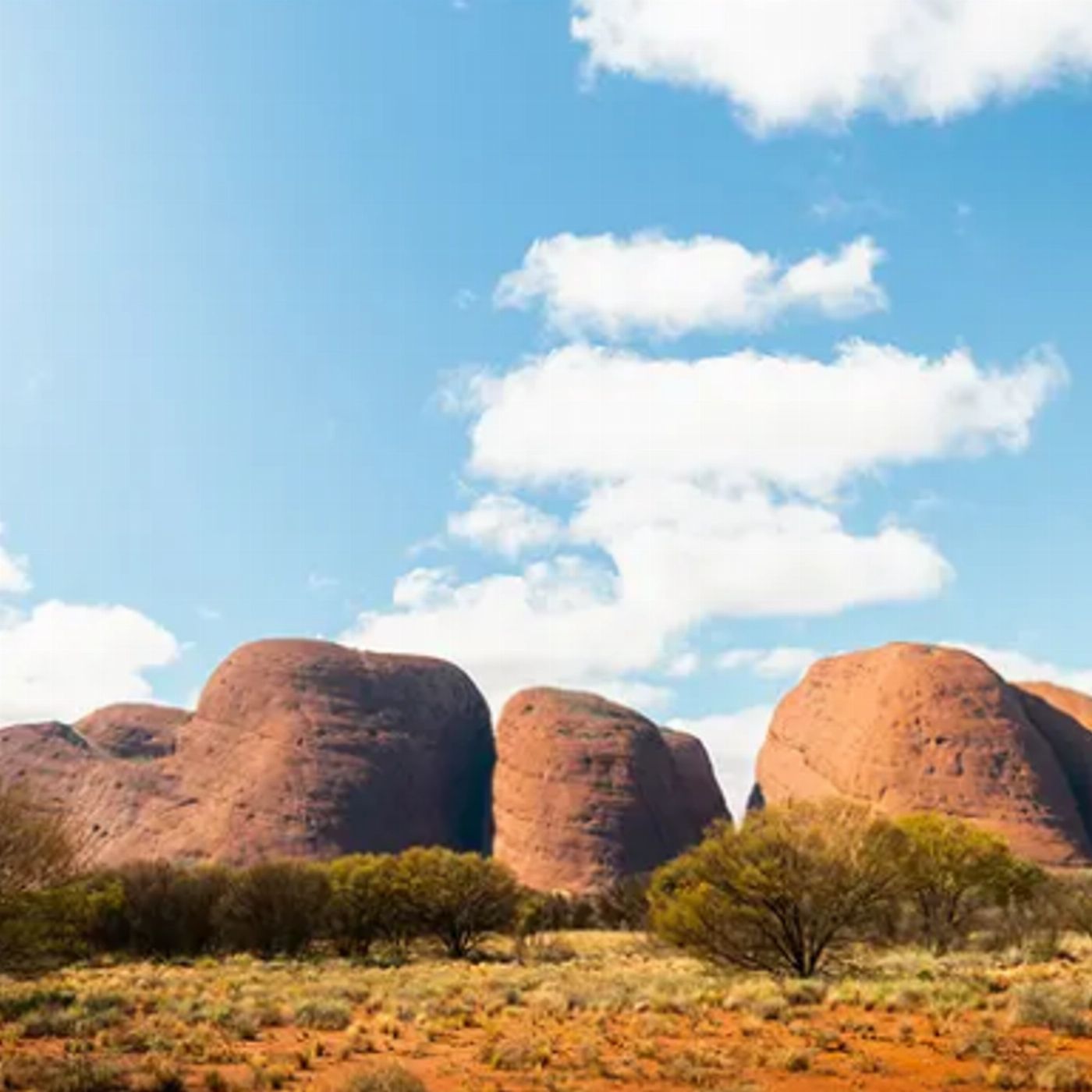 Intrepid Best of Northern Territory (Twin Share Room)