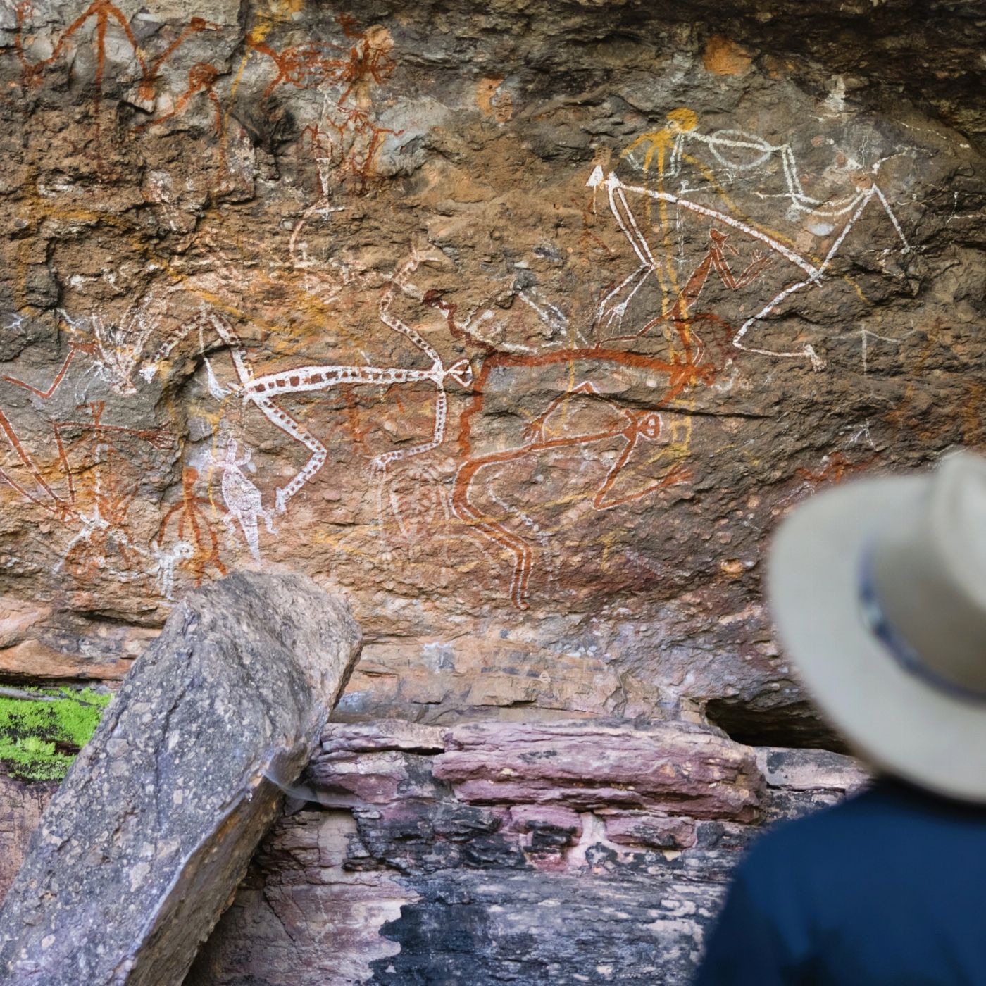 Wildlife Tours Australia Kakadu Katherine Litchfield 4WD Camping Adventure - Tent