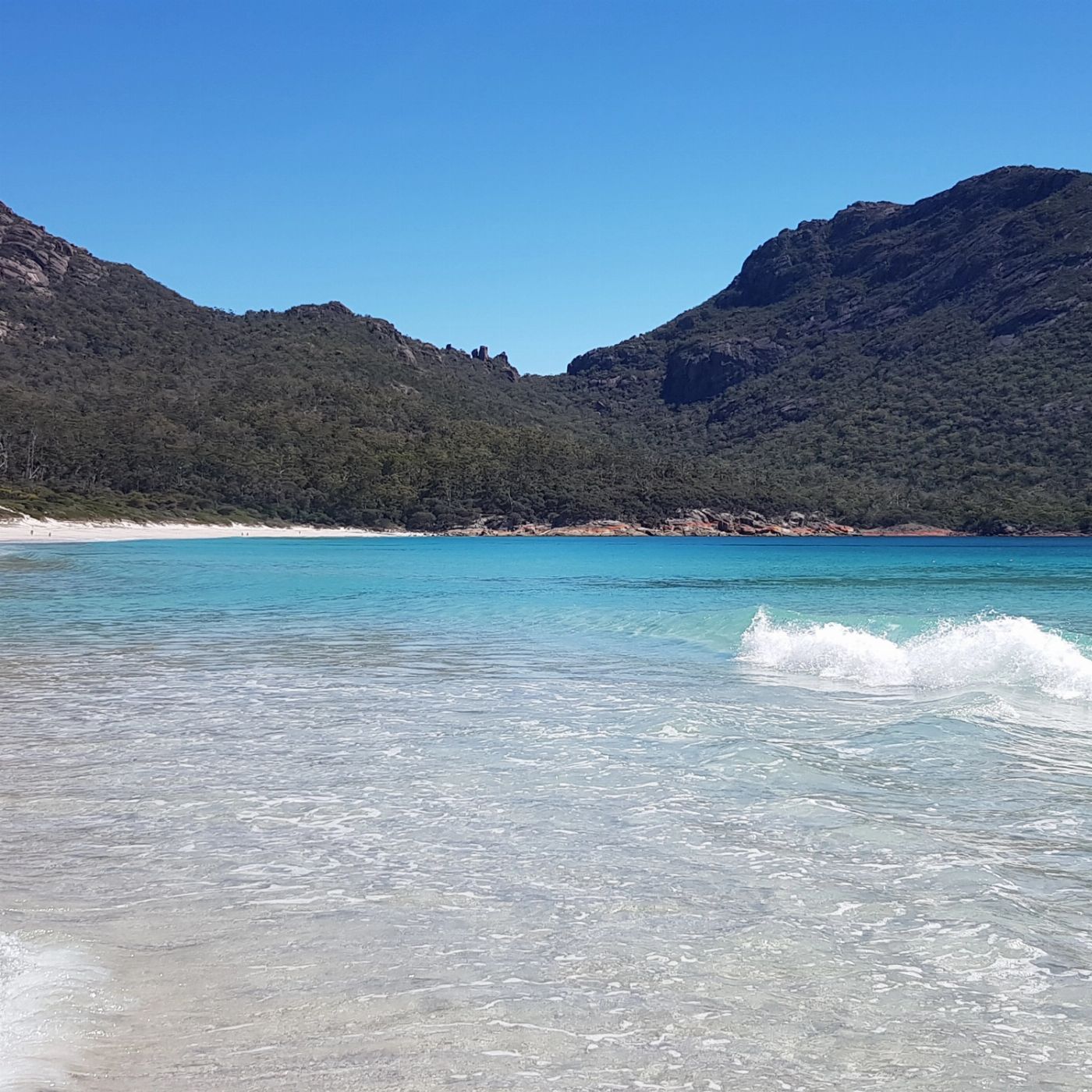 Under Down Under Super 7 - 7 Day Tour of Tasmania - Single Room