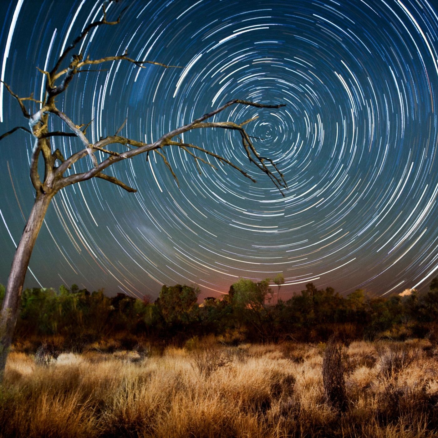 Wildlife Tours Australia Uluru Kings Canyon Rock Adventure - Swag (Yulara to Yulara or Alice Springs)