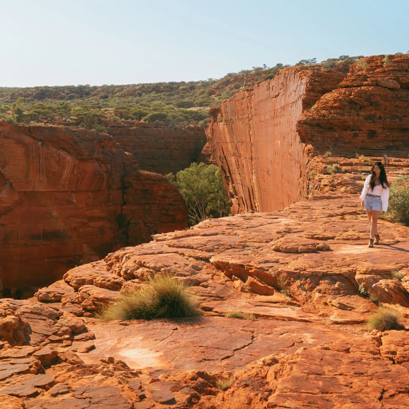 Wildlife Tours Australia Uluru Kings Canyon Rock Adventure - Swag (Yulara to Yulara or Alice Springs)