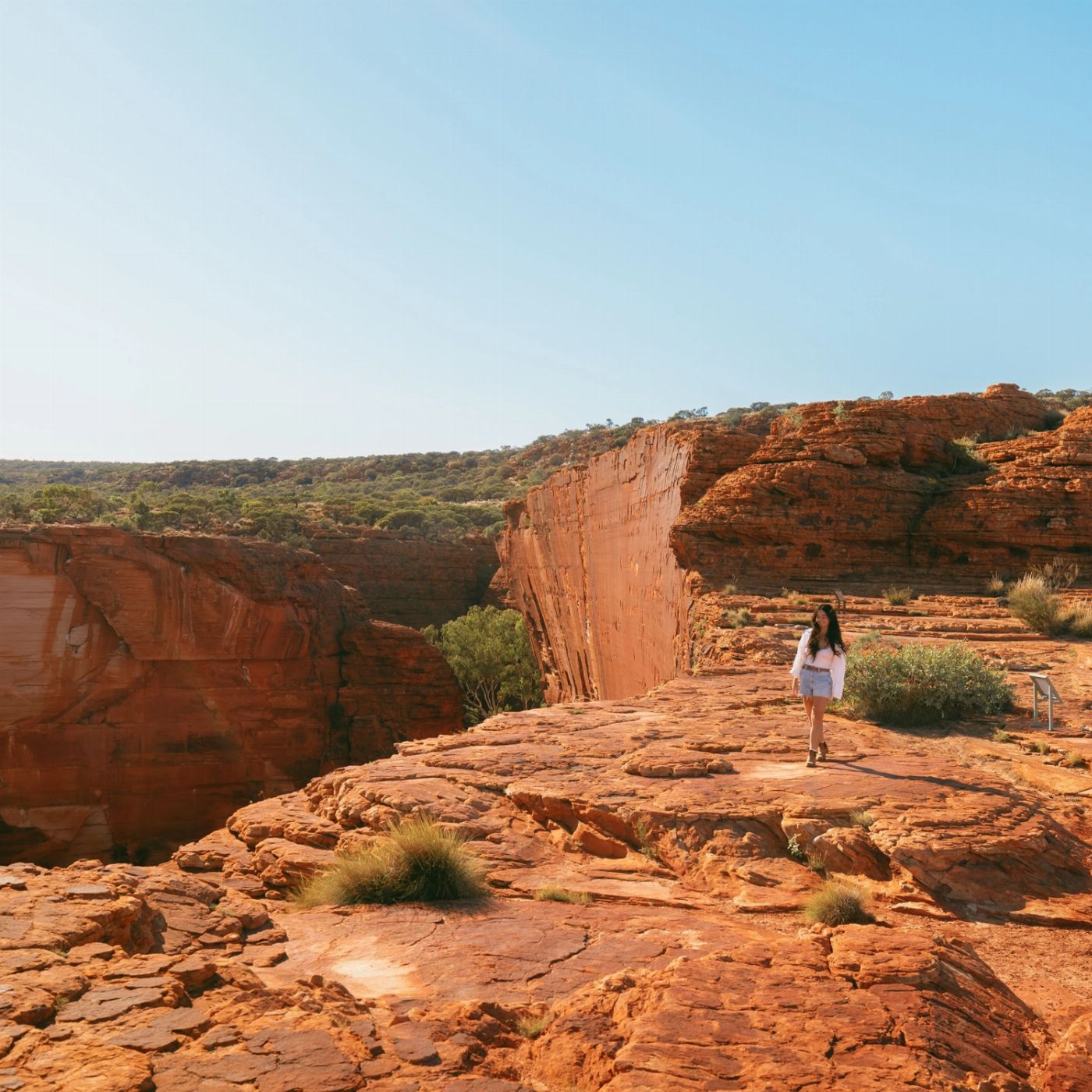 Wildlife Tours Australia Uluru Kings Canyon Rock Adventure - Tent (Yulara to Yulara or Alice Springs)