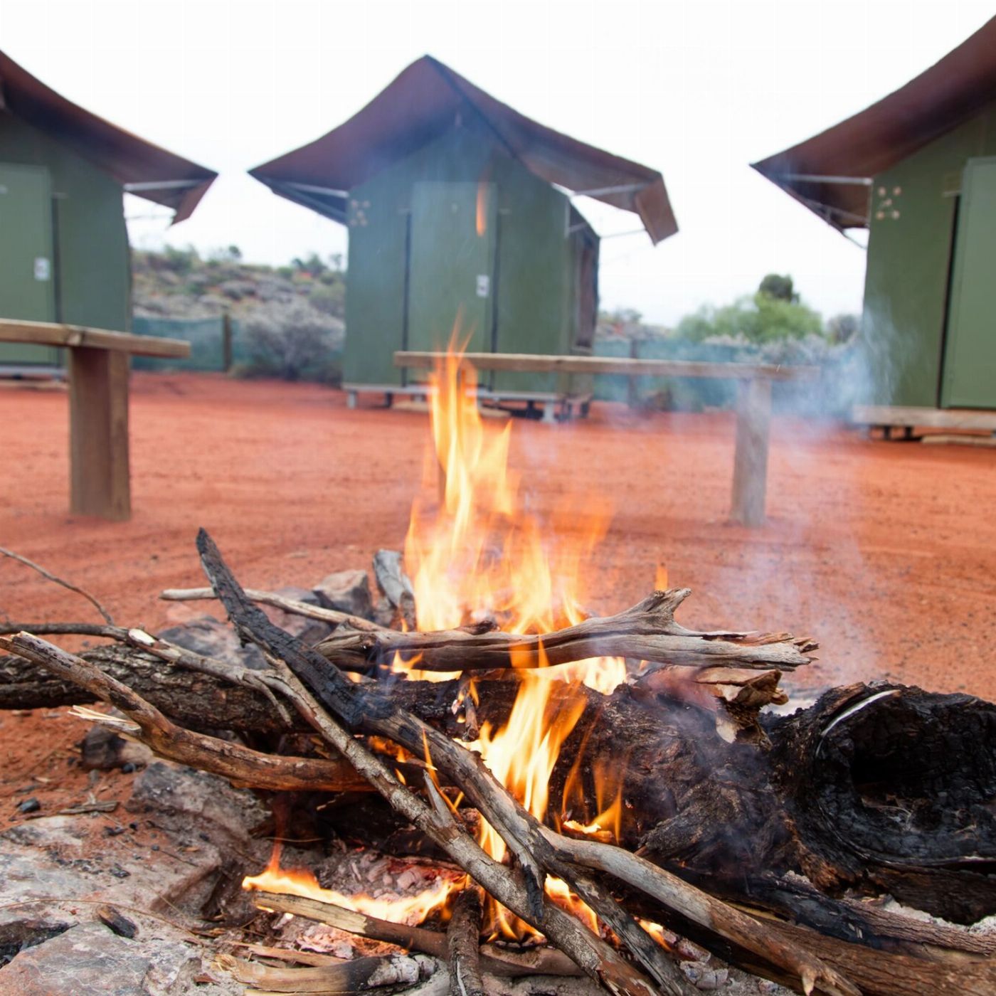 Wildlife Tours Australia Uluru Kings Canyon Rock Adventure - Tent (Yulara to Yulara or Alice Springs)