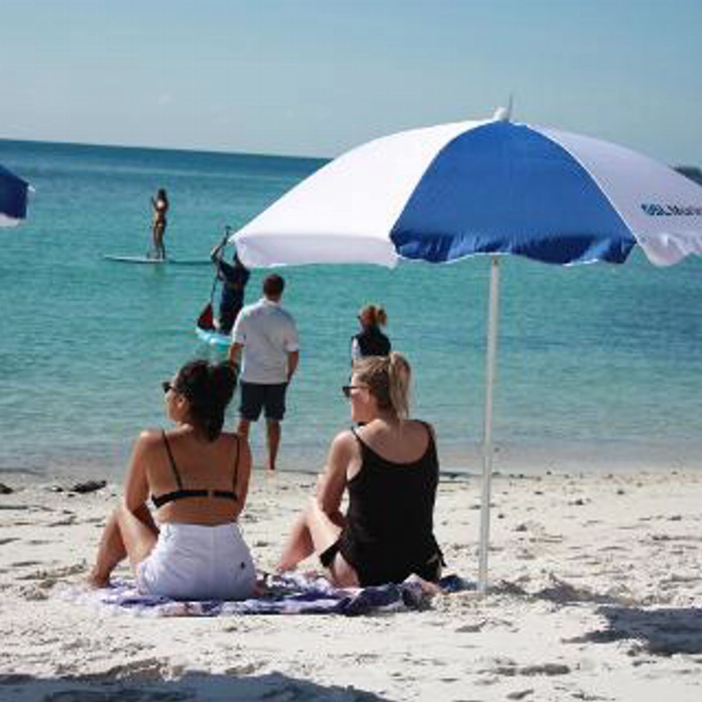 GSL Marine Reef & Beach Snorkelling - Whitehaven Beach Club