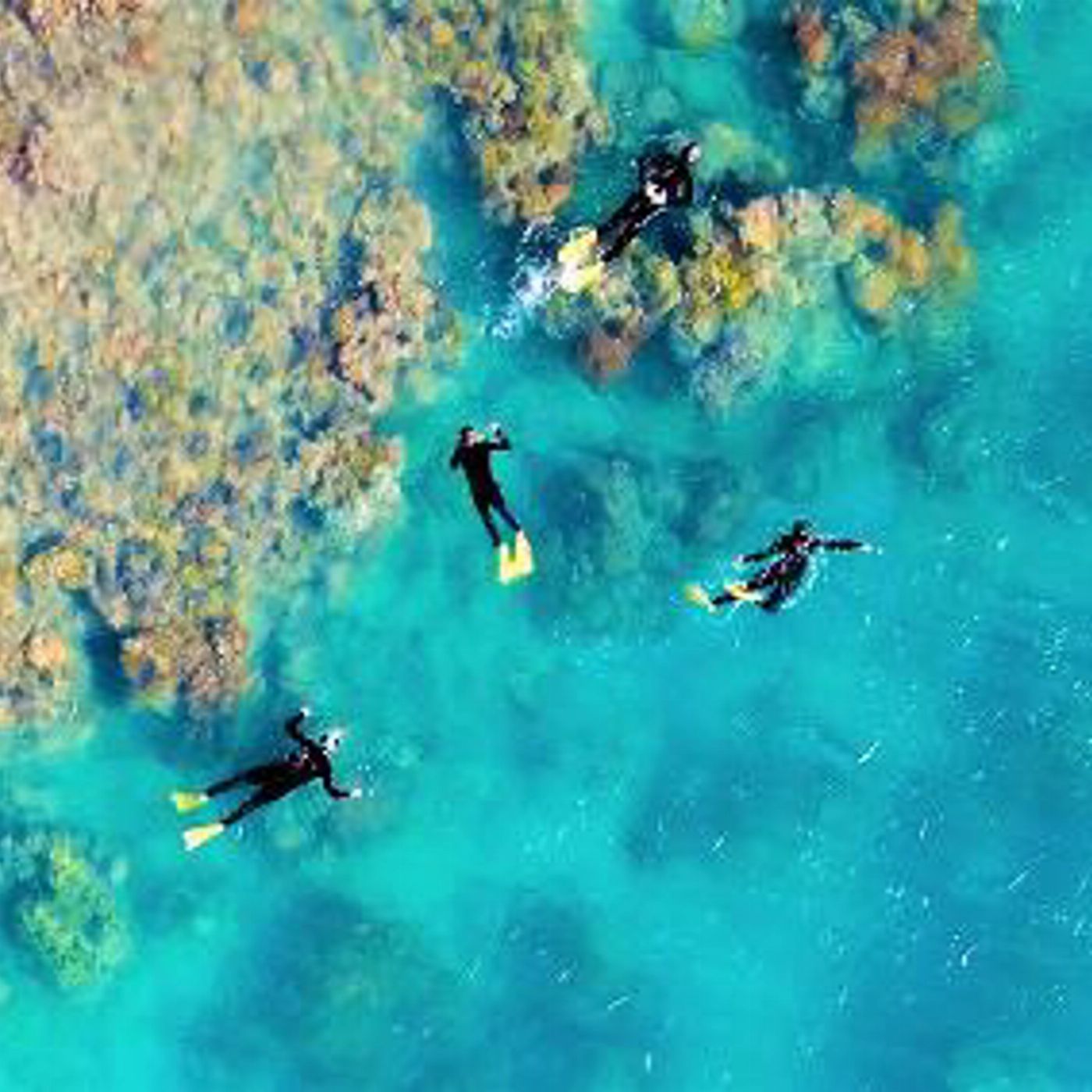 GSL Marine Reef & Beach Snorkelling - Whitehaven Beach Club