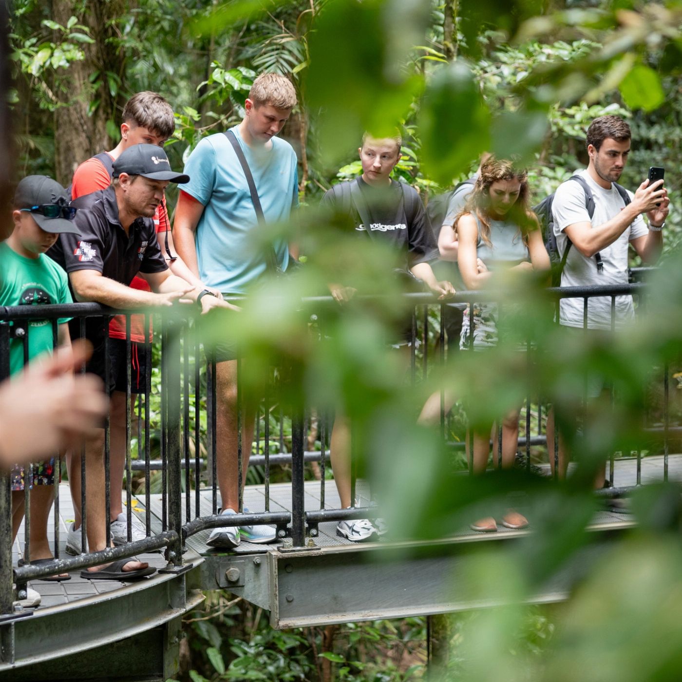 Cairns Adventure Group Natural Explorers (Waterfall Tours & Daintree Rainforest Tours)