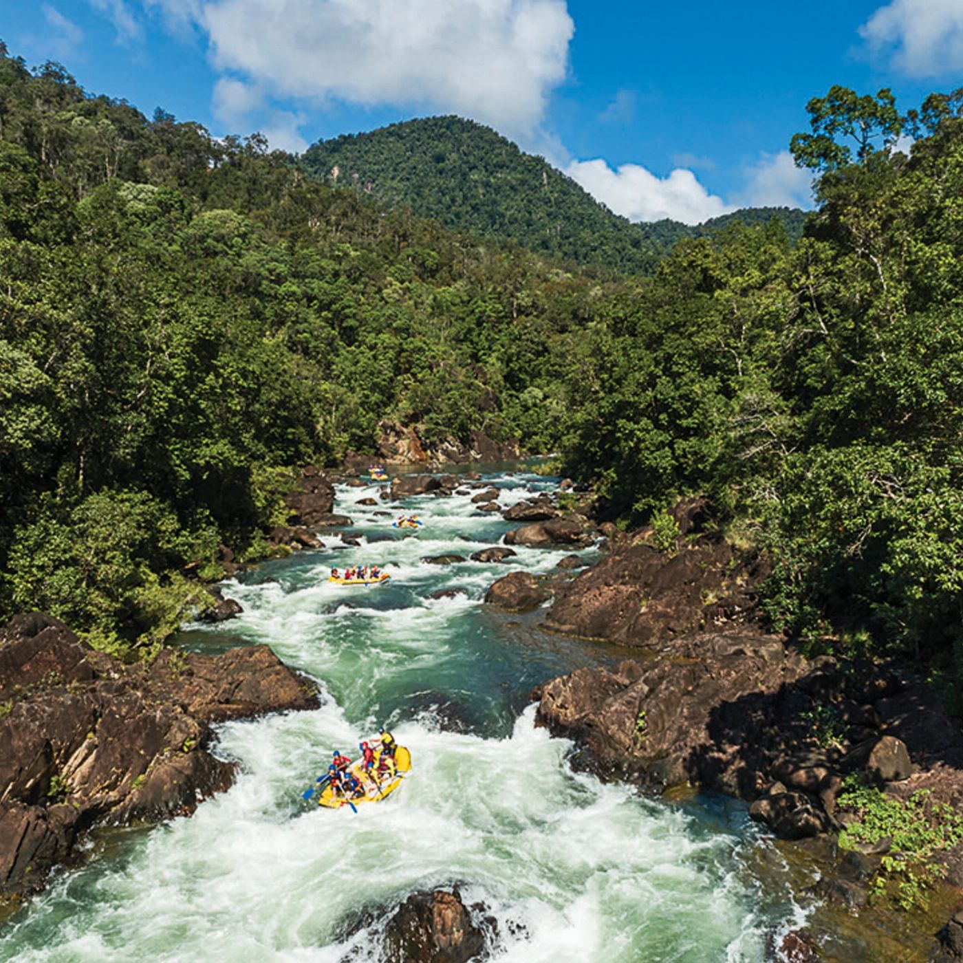 Cairns Adventure Group Daintree Flow (Tully River Rafting & Daintree Rainforest Tour)