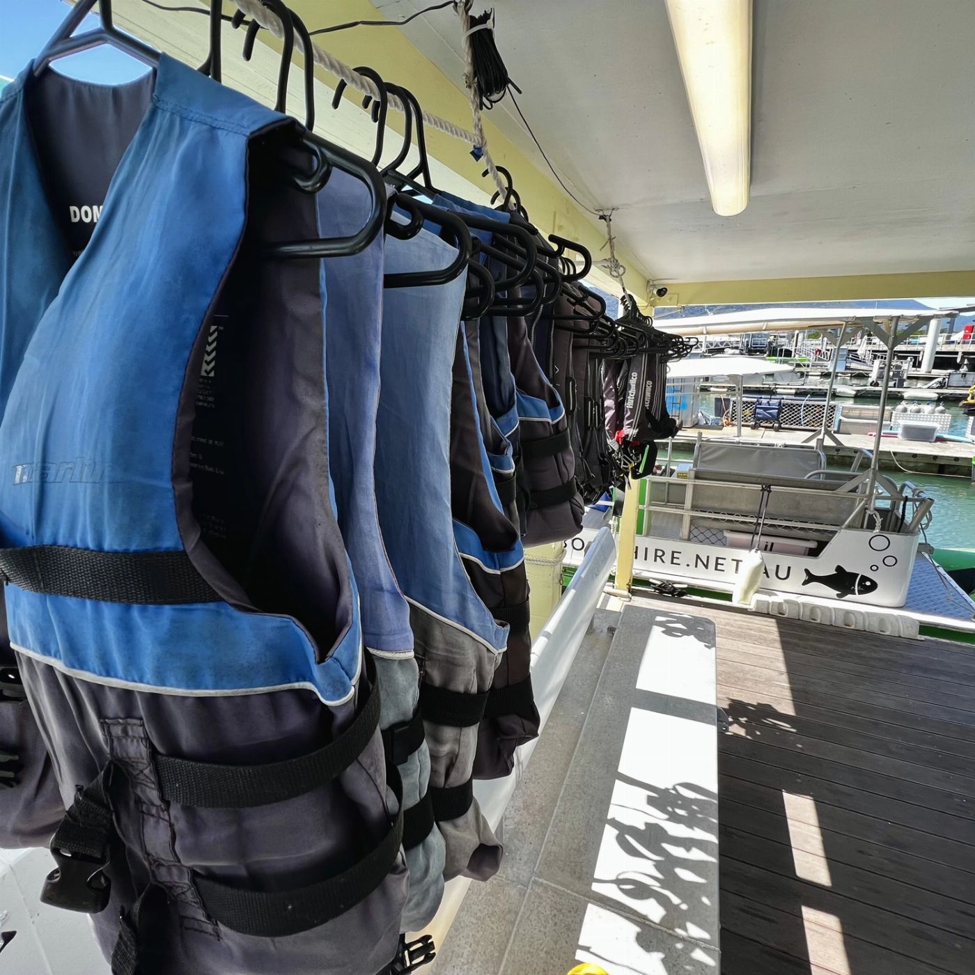 Cairns Adventure Group Cairns Boat Hire (8 Man Pontoon Boat)