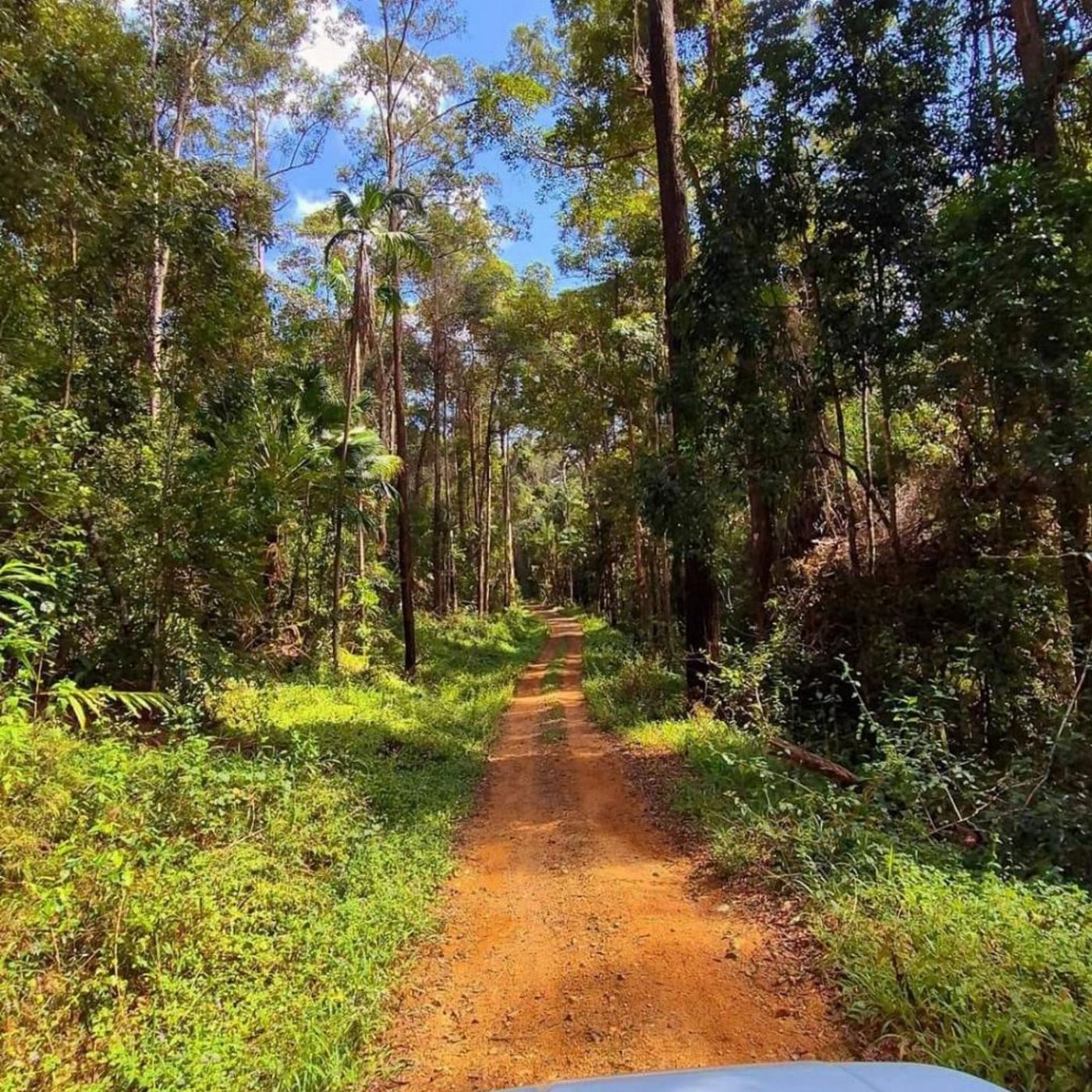Sunny Jeeps Waterfall Adventure Full Day
