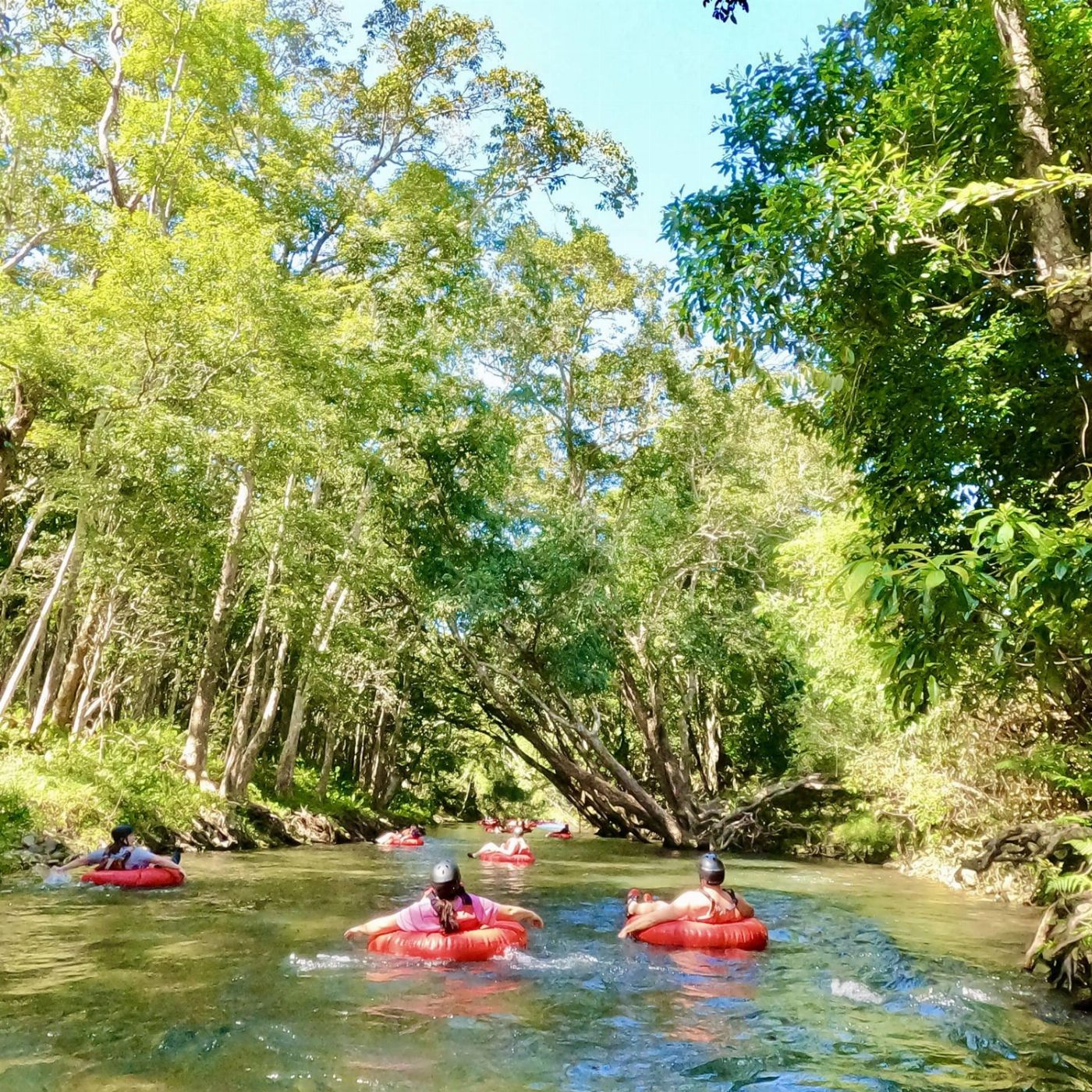Cairns Adventure Group Tube & Turbo (Rainforest River Tubing & Cairns Jetboat)