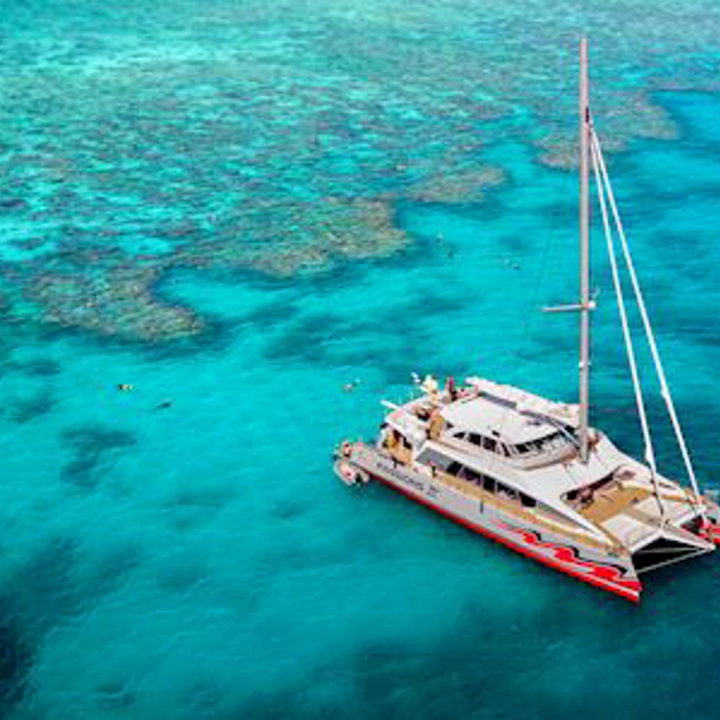 Passions of Paradise Full Day Outer Great Barrier Reef Tour + Intro Dive