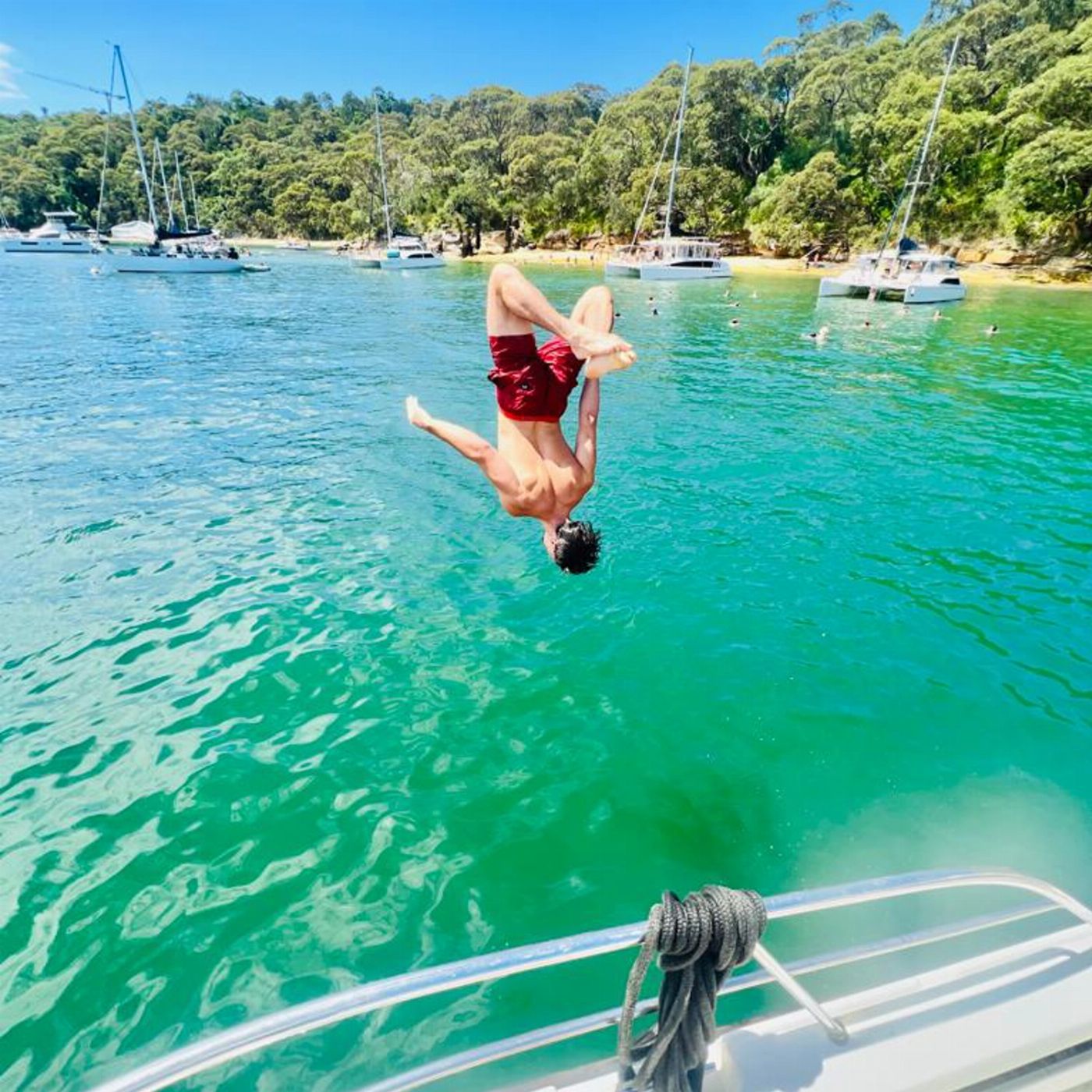 Whale Tales Whale Watching Cheeky Monkey, BBQ, Swim and Explore Harbour Tour