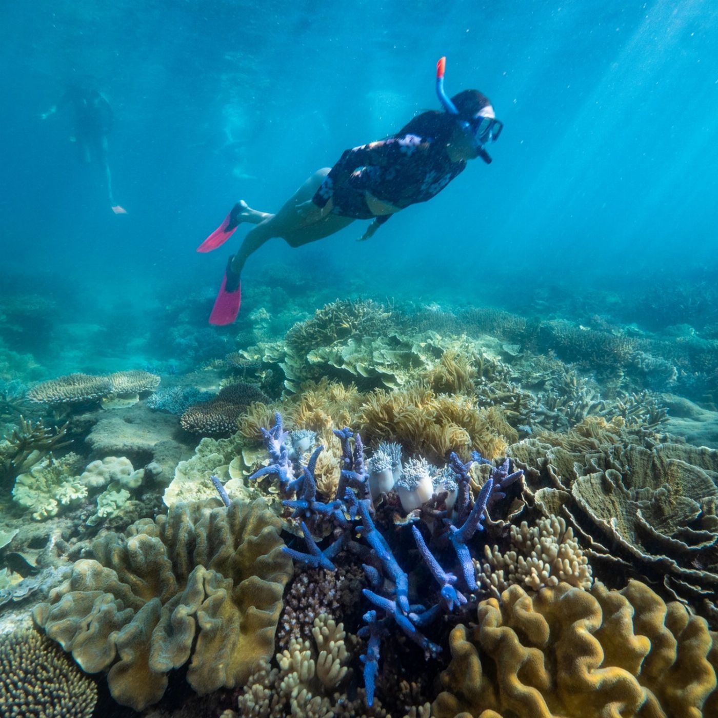 Big Cat Green Island Reef Cruises Two Island Explorer - Fitzroy & Green with Snorkel Gear