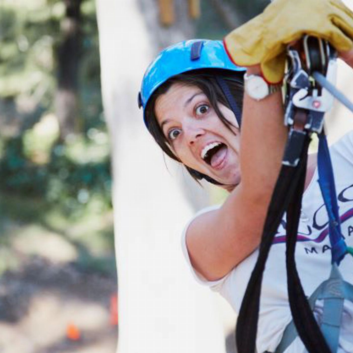 Capes Foundation Forest Adventures