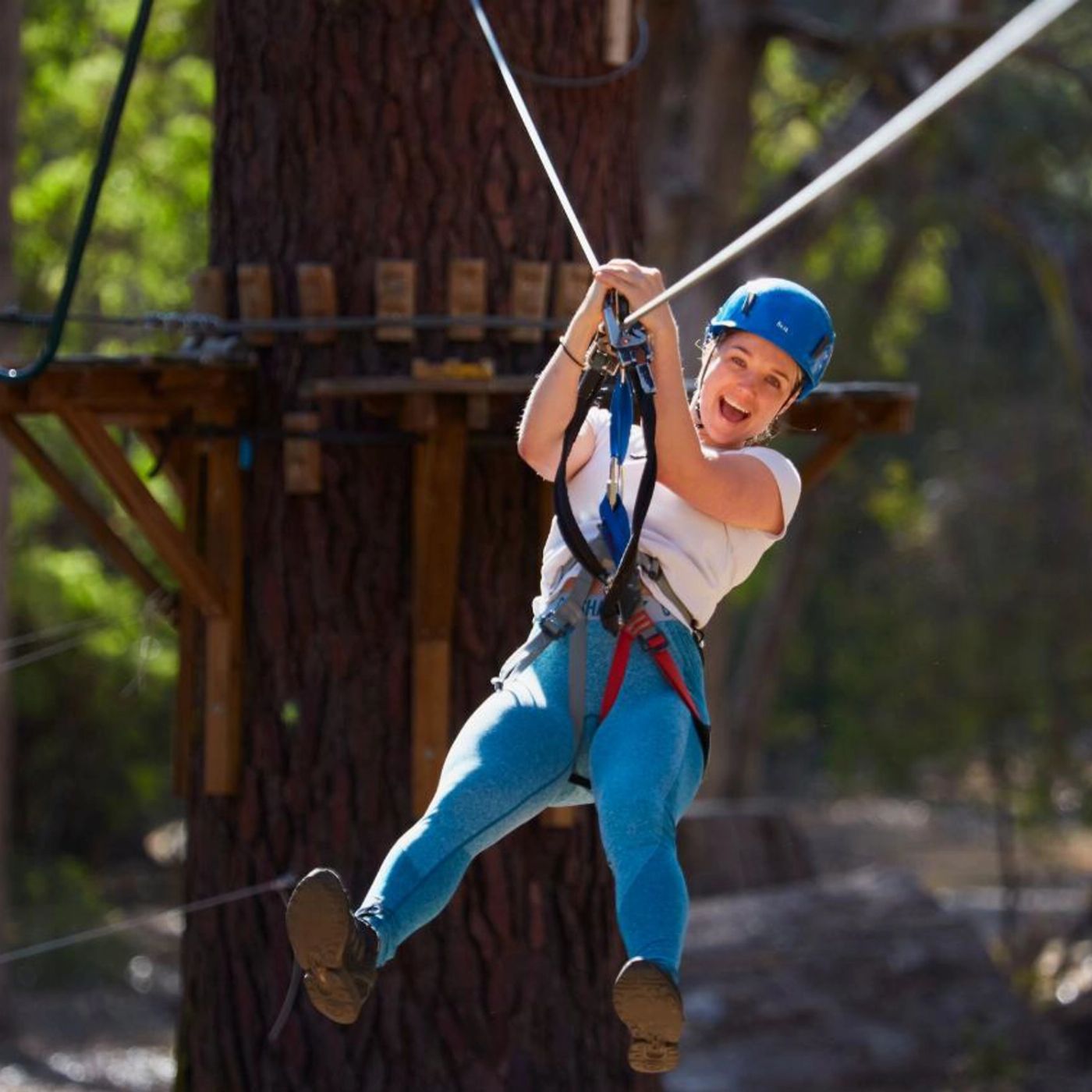 Capes Foundation Forest Adventures