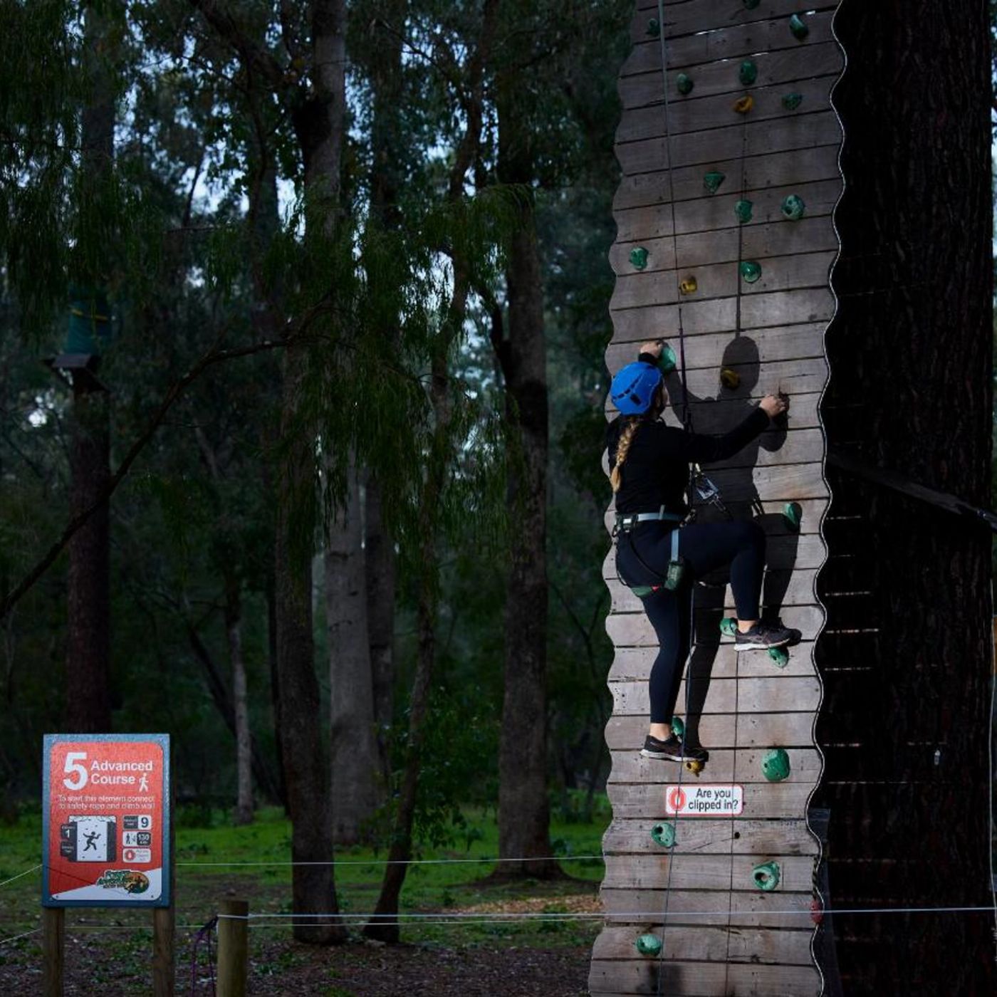 Capes Foundation Forest Adventures