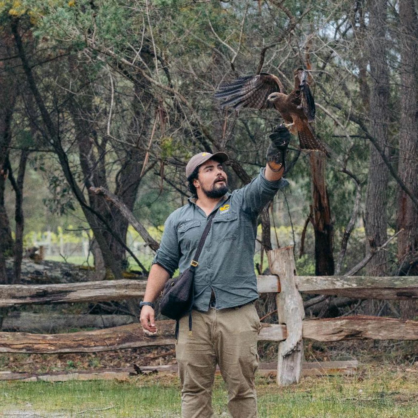 Capes Foundation Capes Raptor Centre
