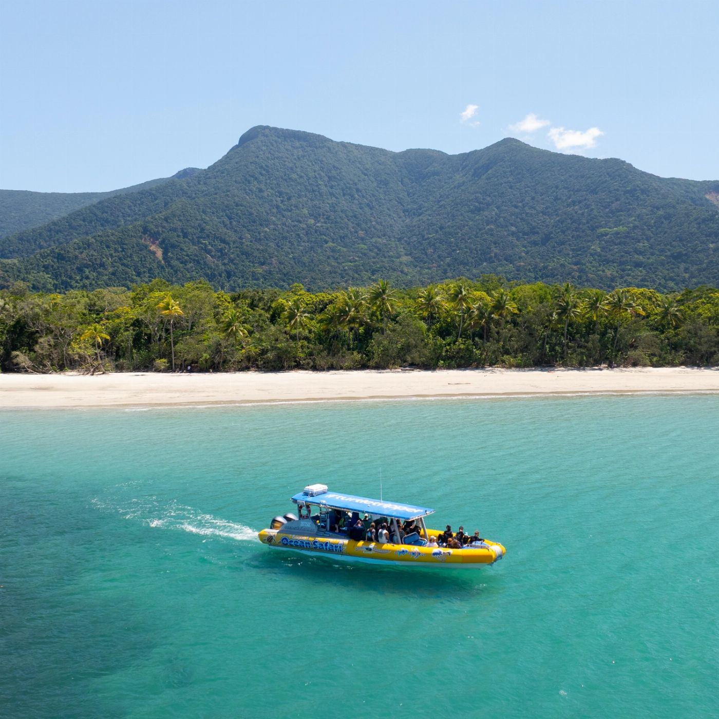 Cairns Adventure Group Daintree Discover: Rainforest, Reef & Ziplining - 2 Day Tour