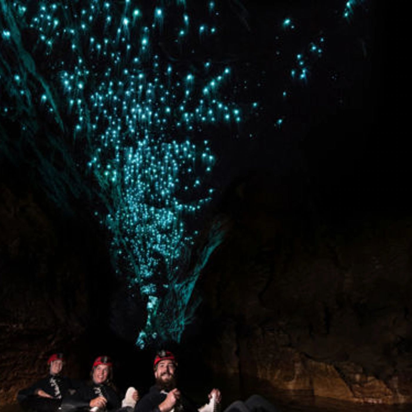 Pineapple Tours Tamborine Rainforest Skywalk + Hop on Hop Off Day Pass from Brisbane - P1P3ZO