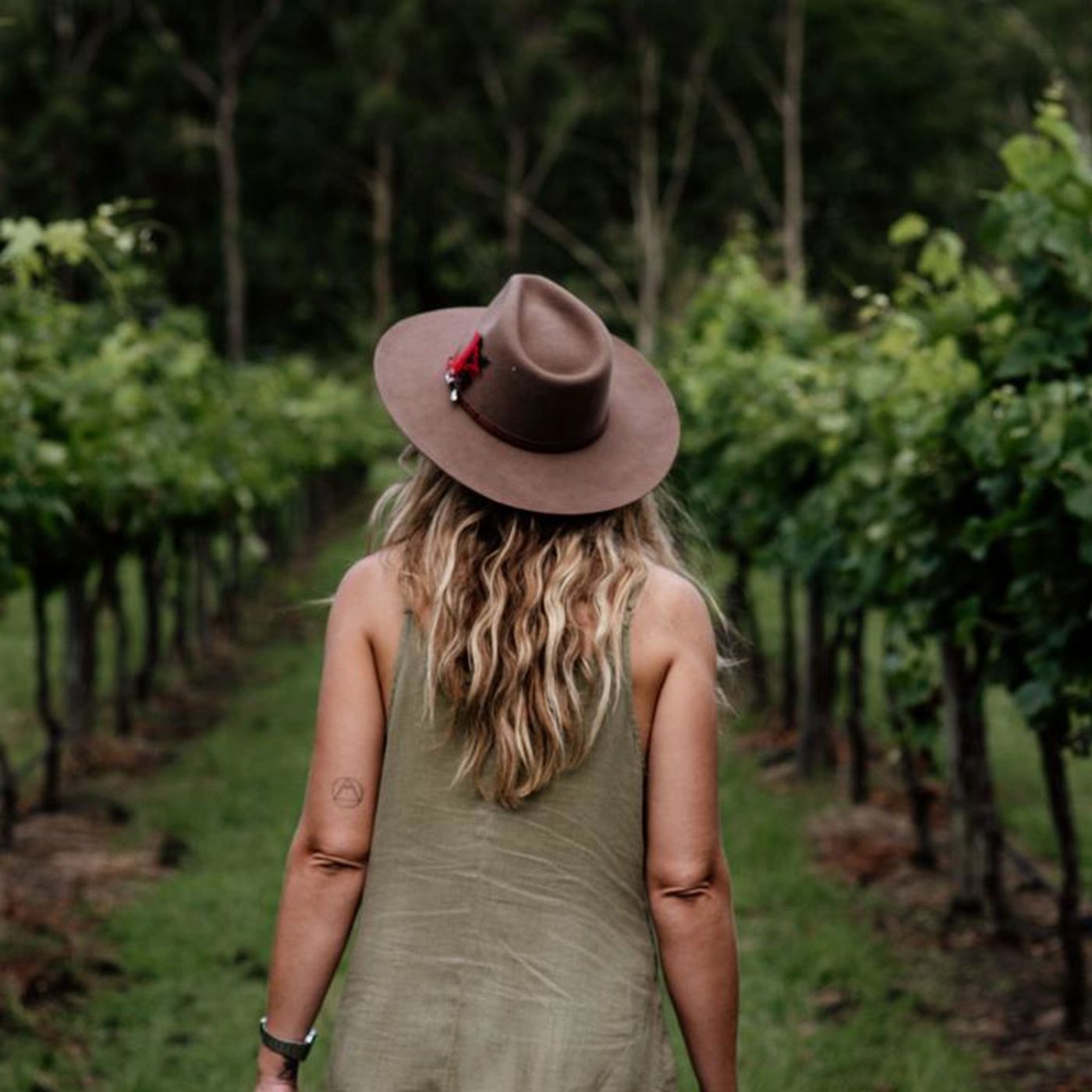 Pineapple Tours Tamborine Rainforest Skywalk + Hop on Hop Off Day Pass from Gold Coast