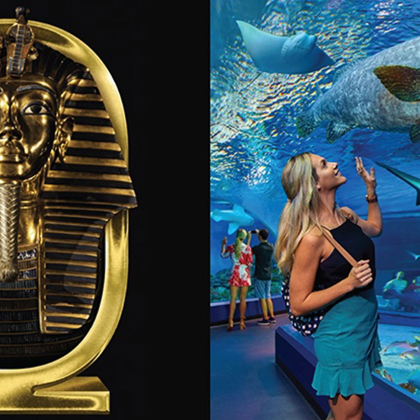 Tomb of the Pharaohs and Cairns Aquarium Package