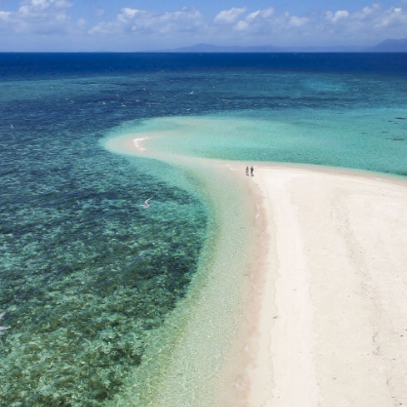 Sailaway Outer Reef - Mackay Coral Cay (Family 2A/2C)