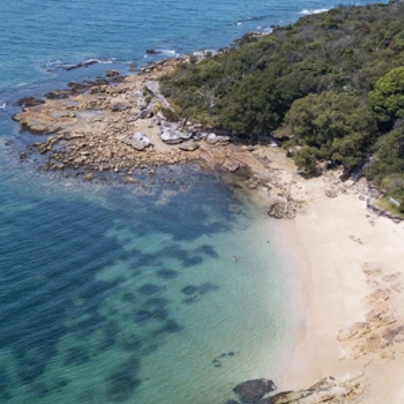 Manly Kayak Centre SUP - 1 Hour Hire