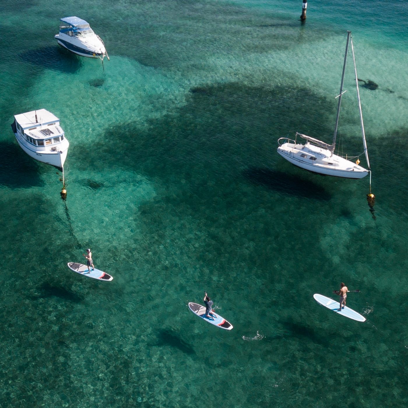 Manly Kayak Centre SUP - 1 Hour Hire