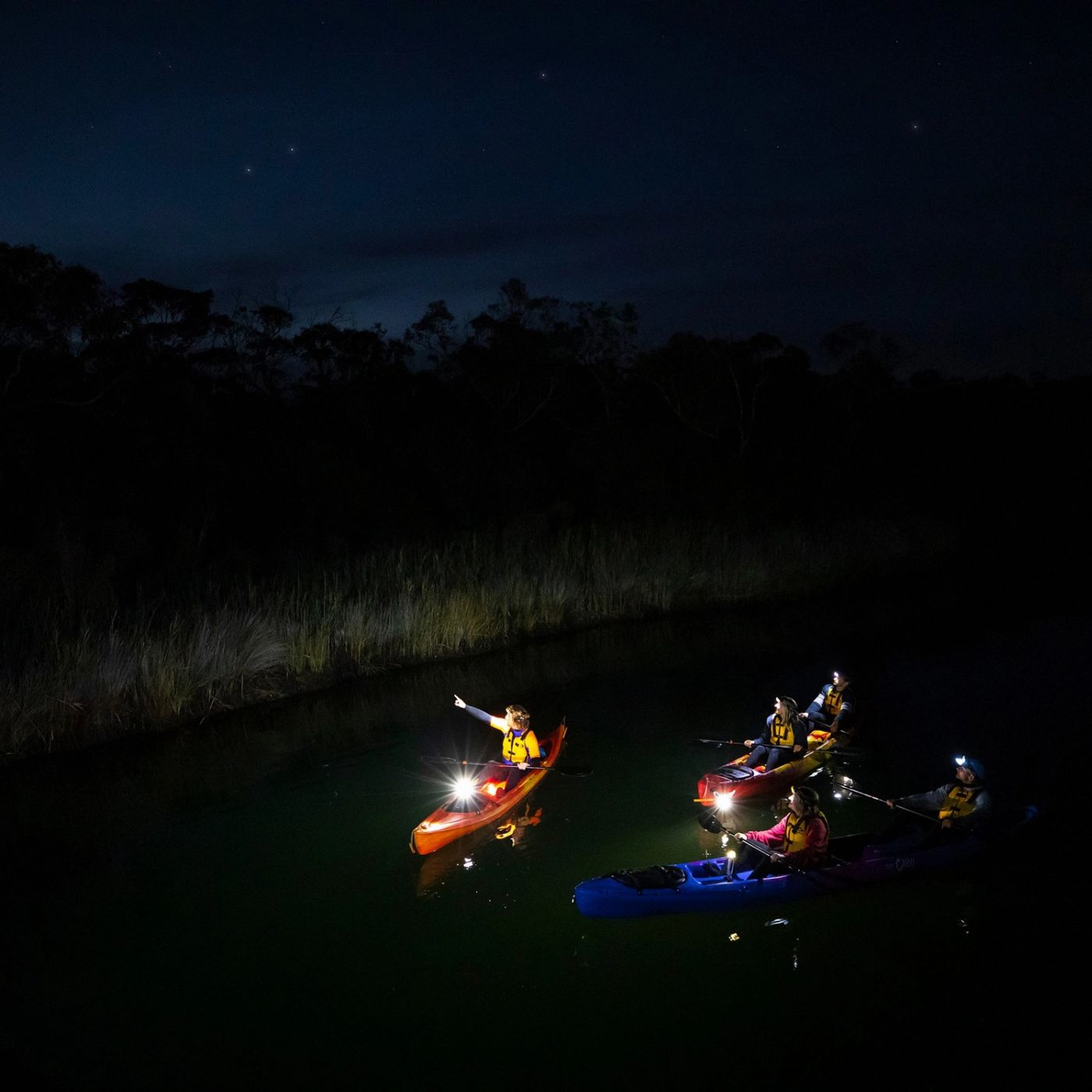 Go Ride A Wave Night Sky and Nature: Twilight Kayaking on the Great Ocean Road