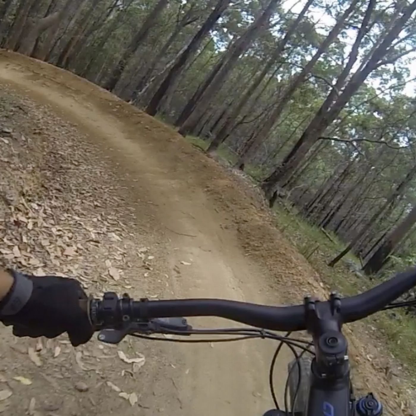 By Earth & Ocean E- Mtn Bike Tour - Group of 2