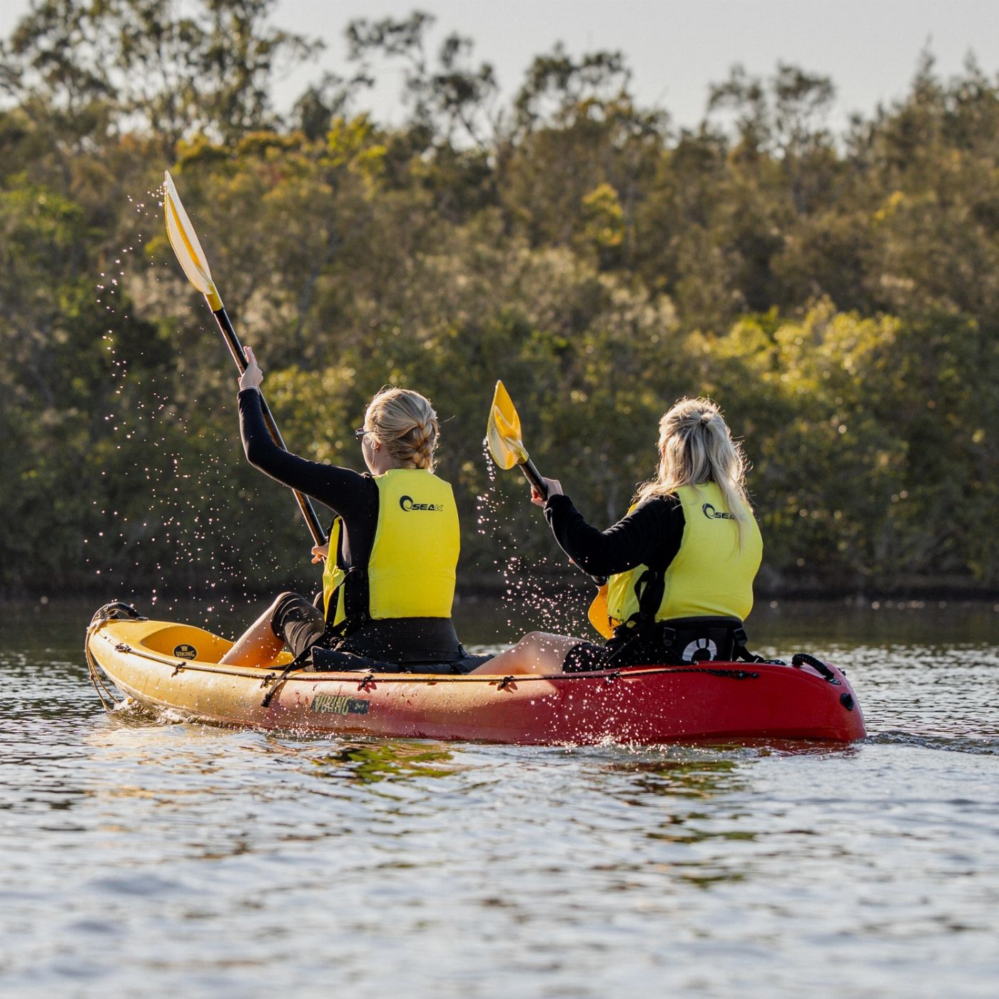 By Earth & Ocean Kayak Tour Noosa/Southern end Everglades & Stingrays PM