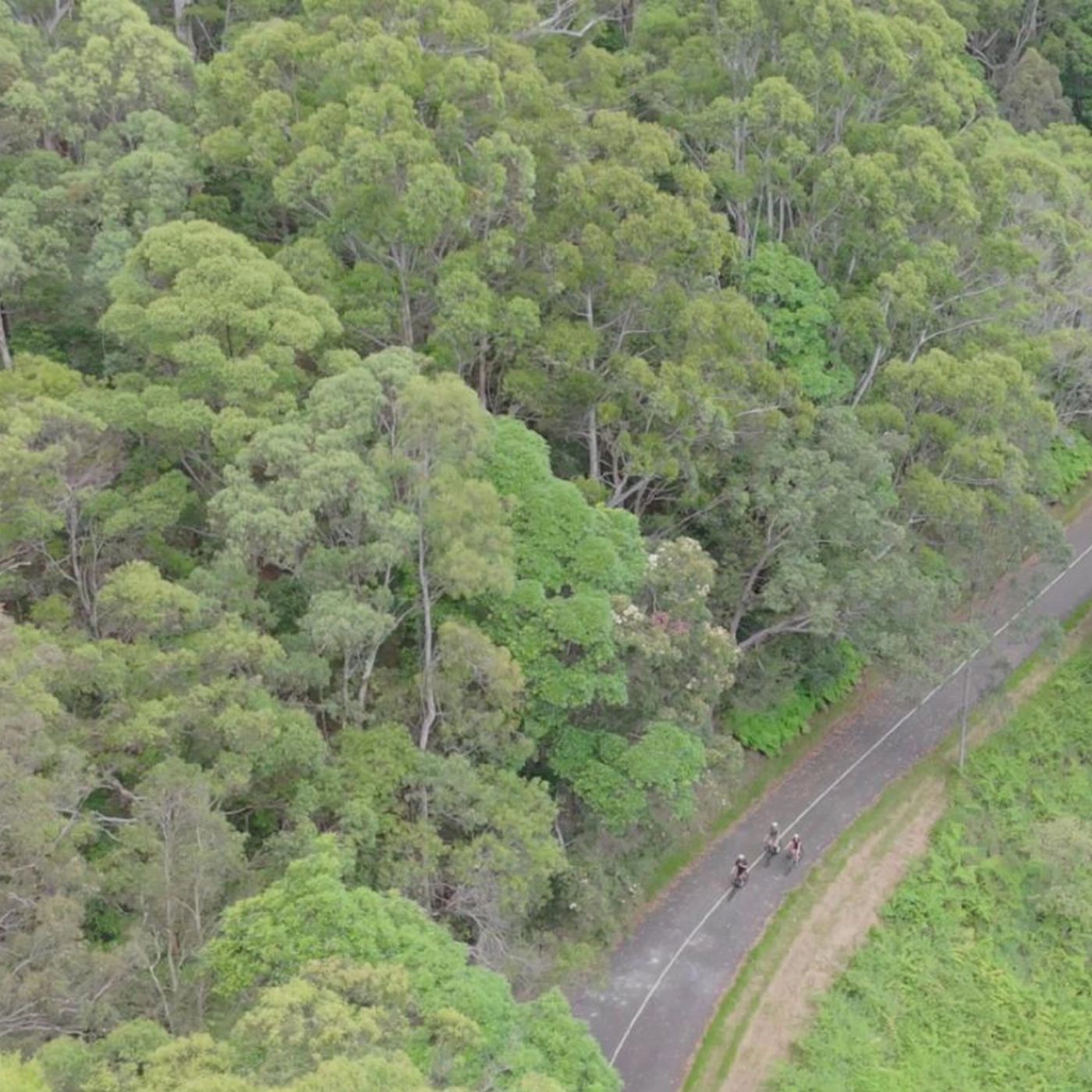 By Earth & Ocean Noosa E Bike Tour - Mt Tinbeerwah to Noosa